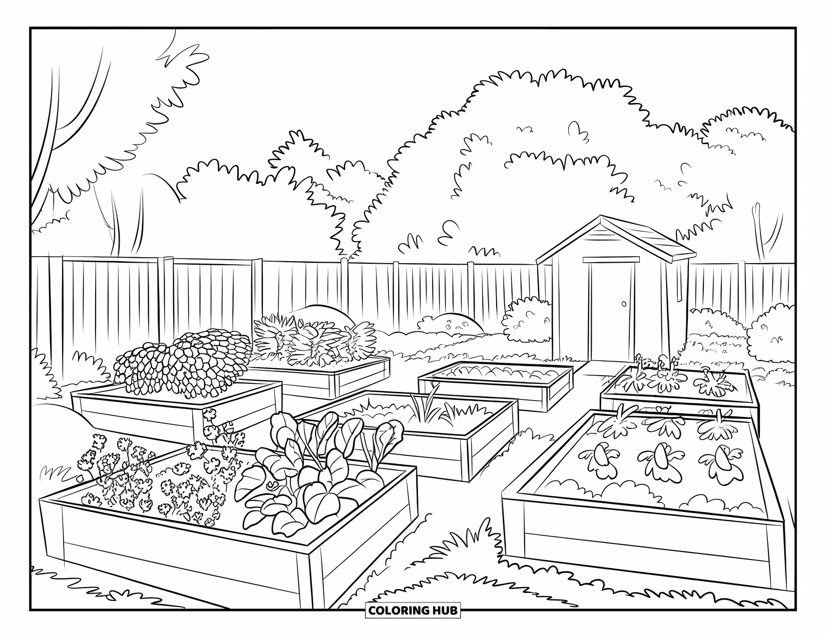 Gardening Coloring Page for Kids: Urban garden with raised beds, a shed, and a pathway between plants