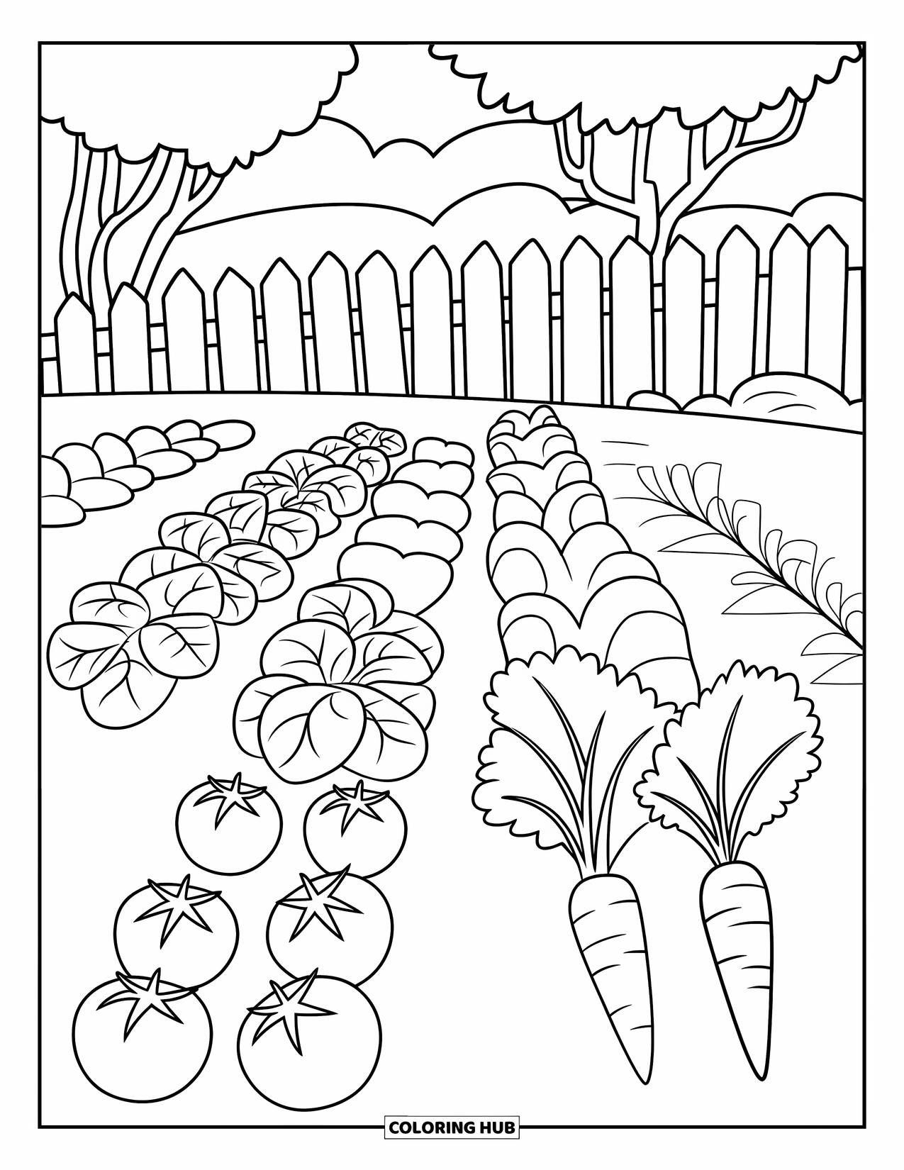 Gardening Coloring Page for Kids: Vegetable patch with rows of tomatoes, lettuce, and carrots