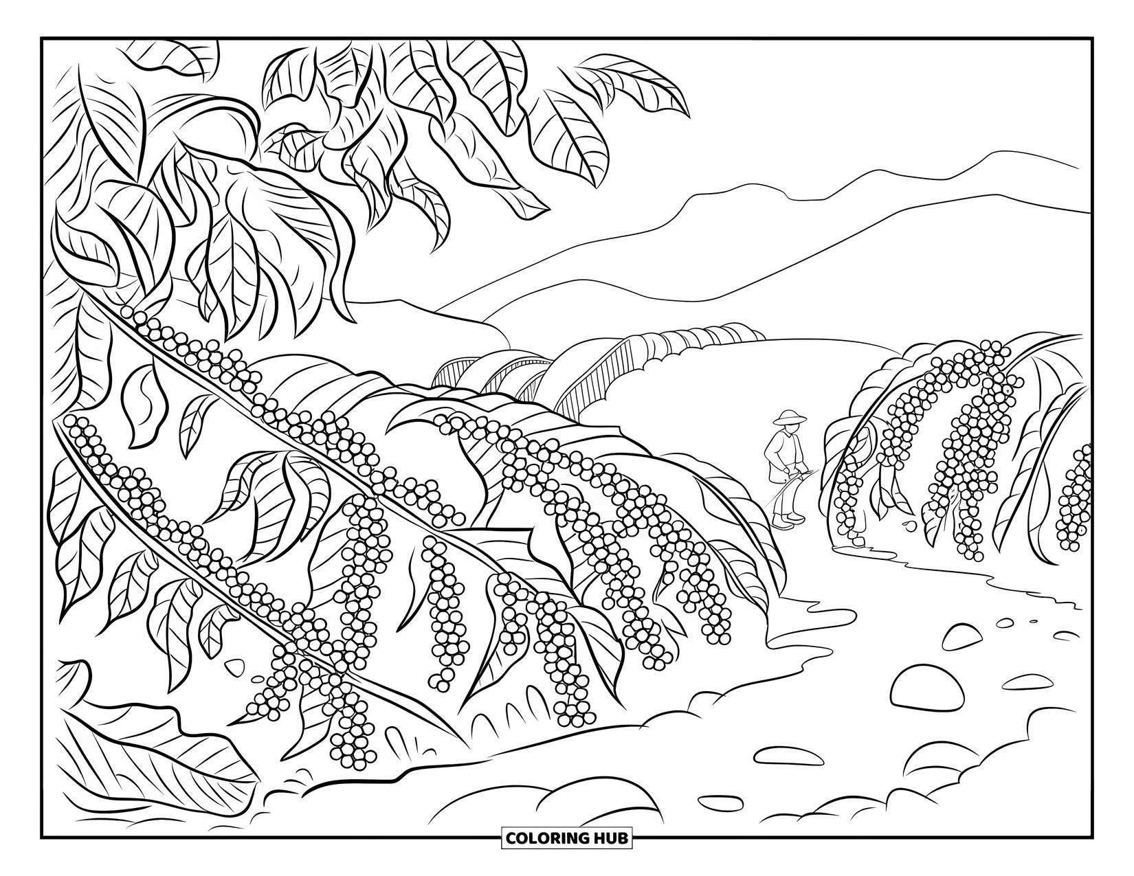Guatemala Coloring Page for Adults: Coffee workers walk a dirt path beneath trees in the mountain fields