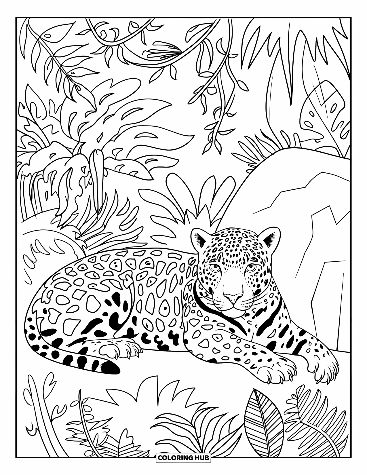 Guatemala Coloring Page for Adults: Jaguar lies beside a rock in the lush Guatemalan jungle