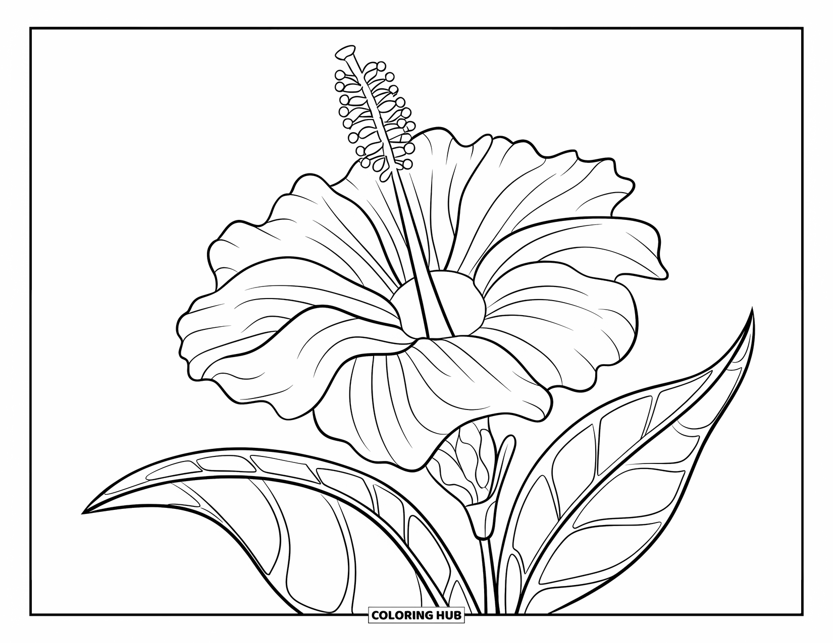 Guatemala Coloring Page for Kids: Big tropical flower with bold leaves and vines