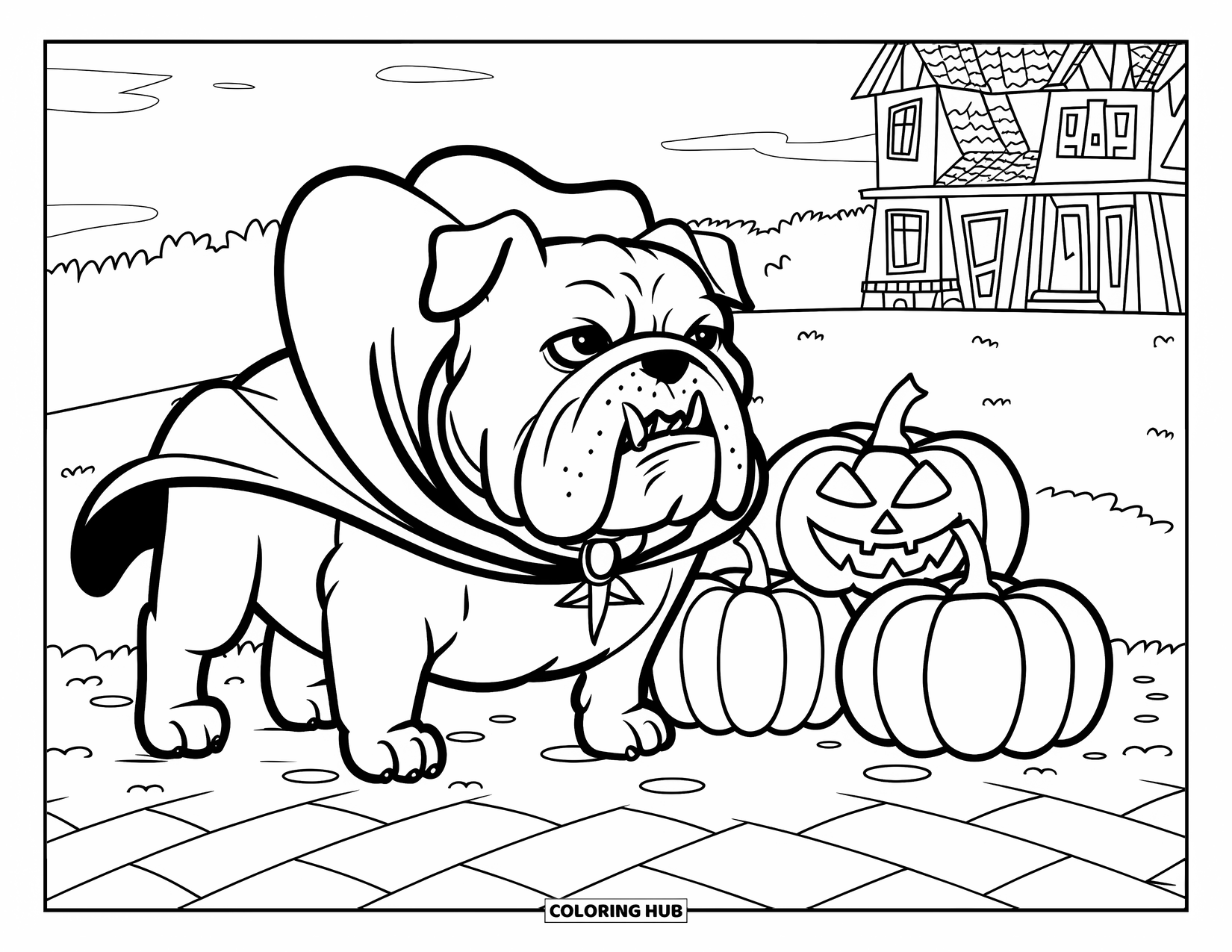 Halloween Dog Coloring Page for Kids: Bulldog in vampire cape standing on a brick path near pumpkins
