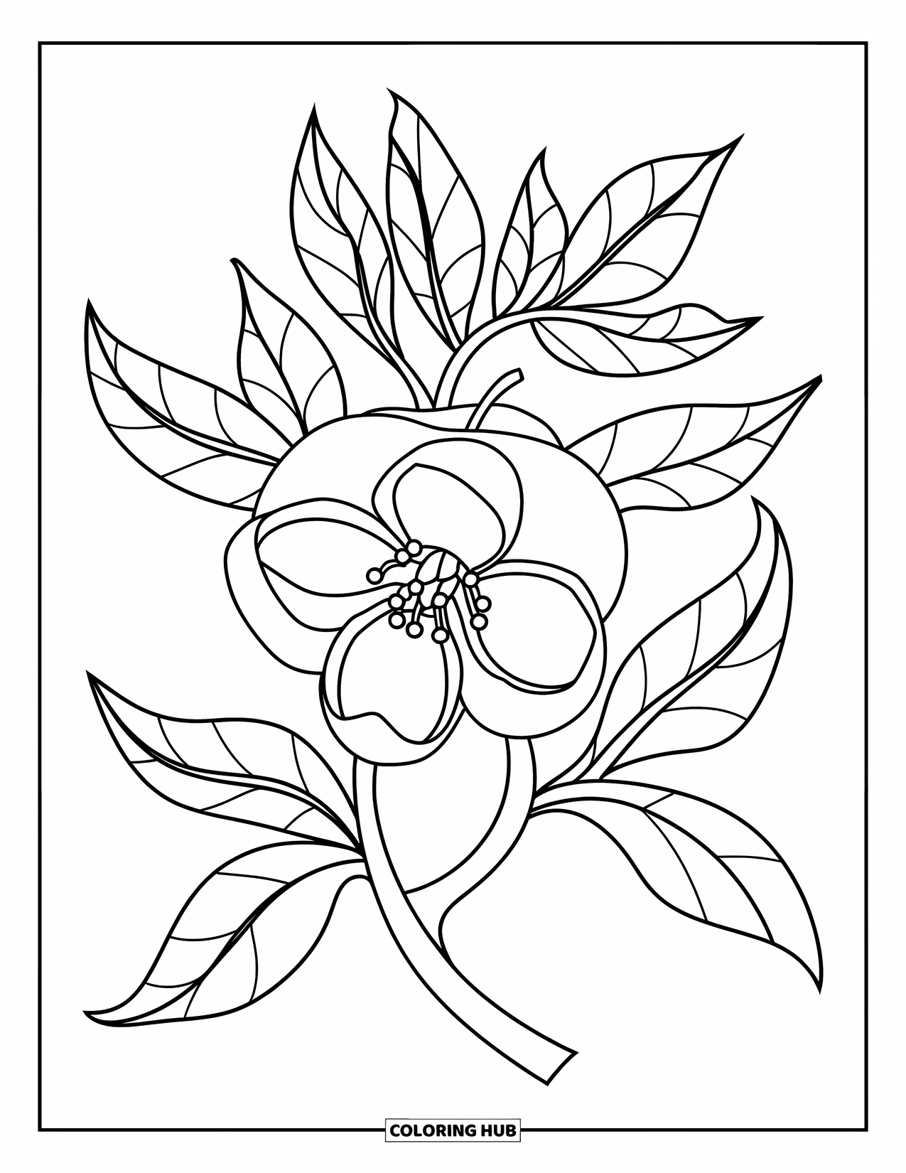 Michigan Coloring Page for Kids: Apple blossom with round center and spiral petals