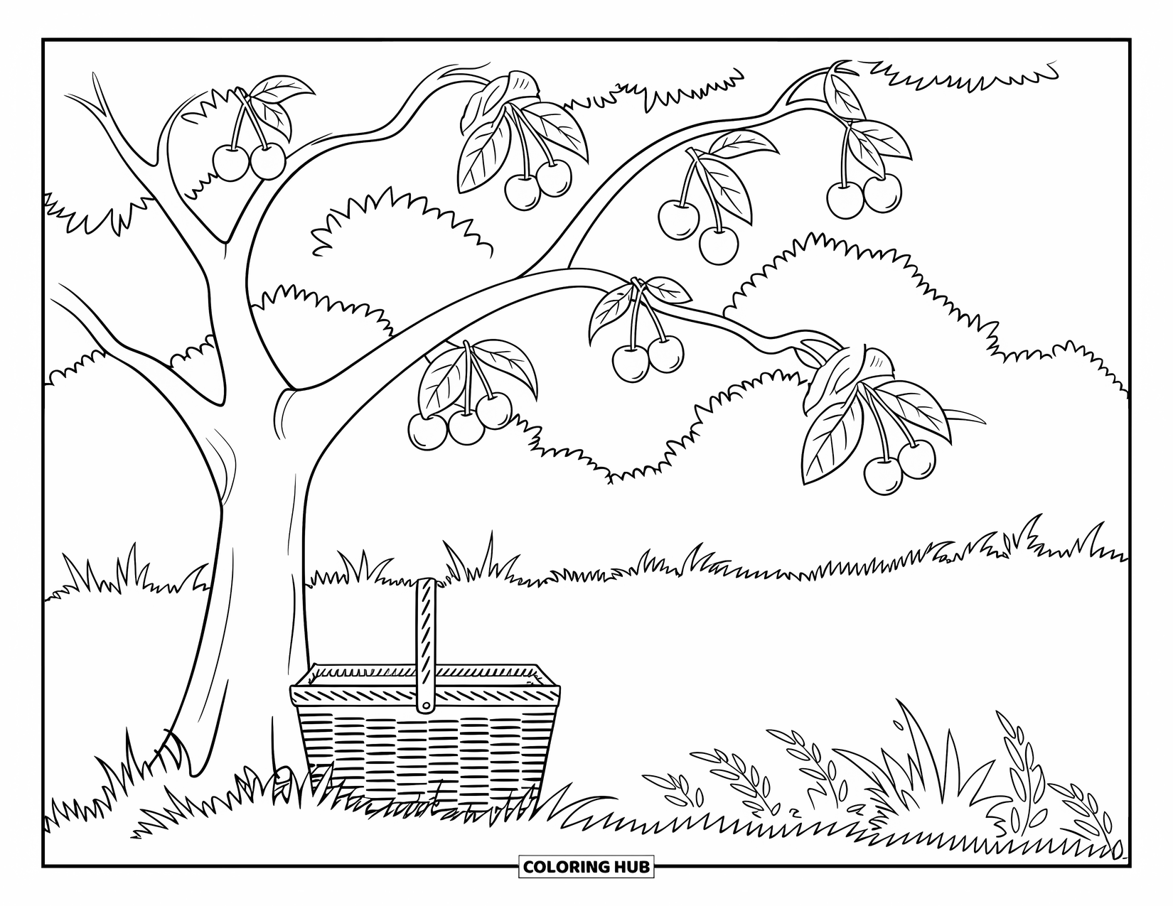 Michigan Coloring Page for Kids: Cherry tree with a picnic basket resting underneath