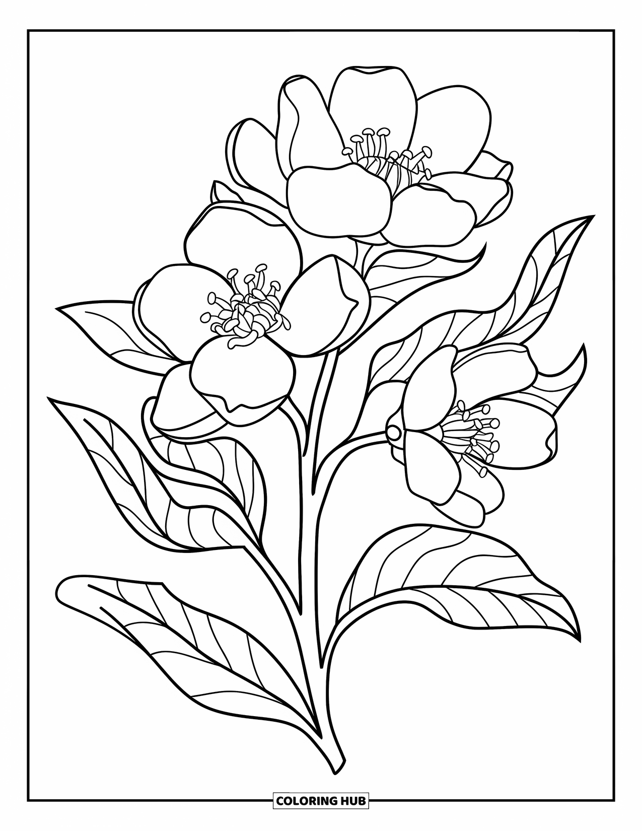 Michigan Coloring Page for Kids: Playful apple blossom with bold petals and leaves