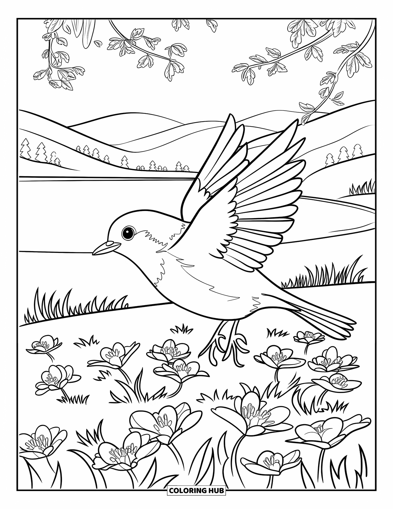 Michigan Coloring Page for Kids: Robin bird flying above apple blossom flowers
