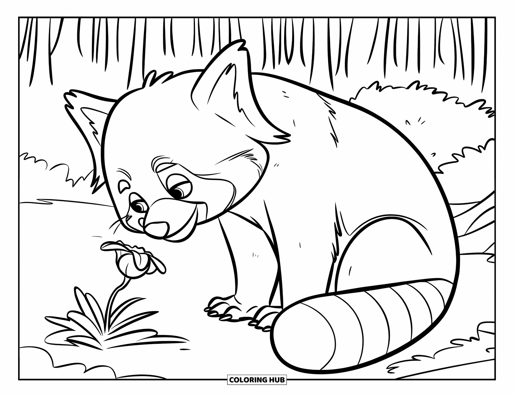 Red Panda Coloring Page for Kids: A curious red panda sniffs a flower while sitting on the ground