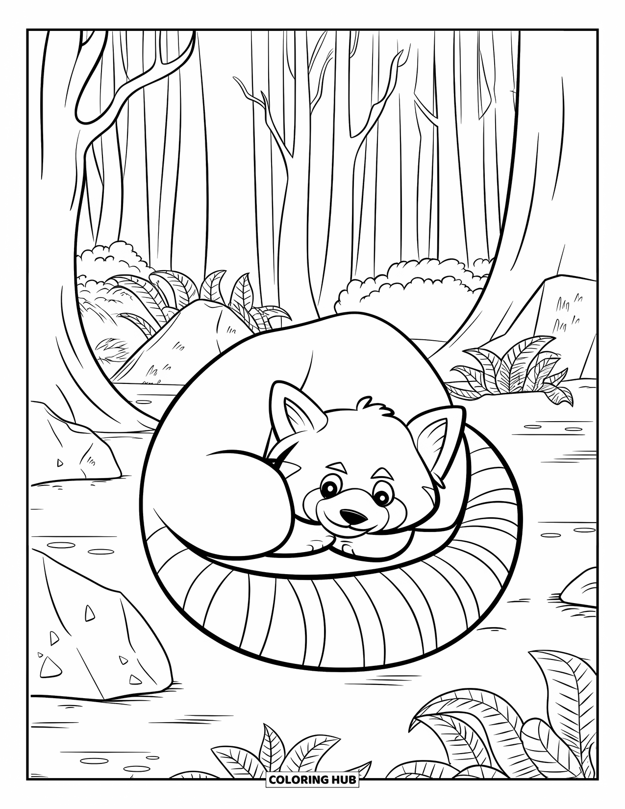 Red Panda Coloring Page for Kids: A curled-up red panda rests on a leafy forest floor with rocks