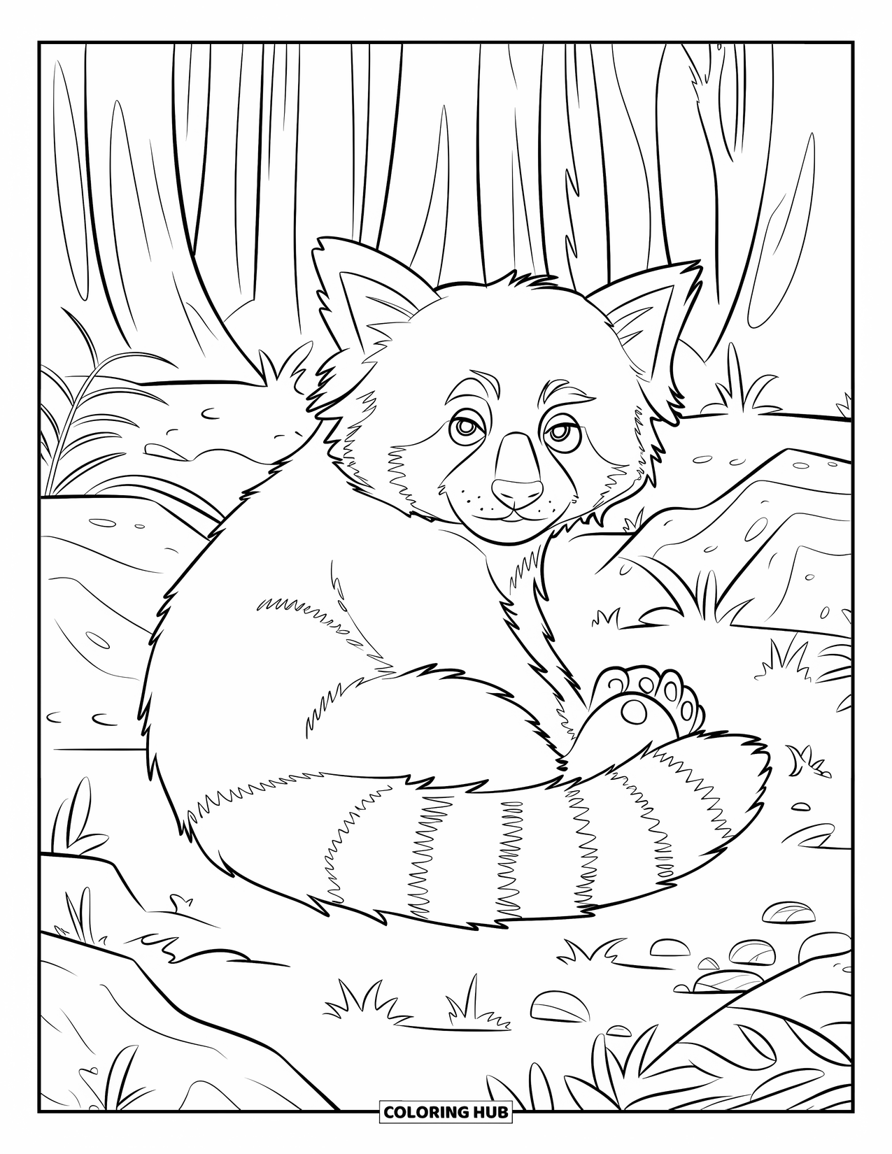 Red Panda Coloring Page for Kids: A fluffy red panda rests among plants and rocks in the forest