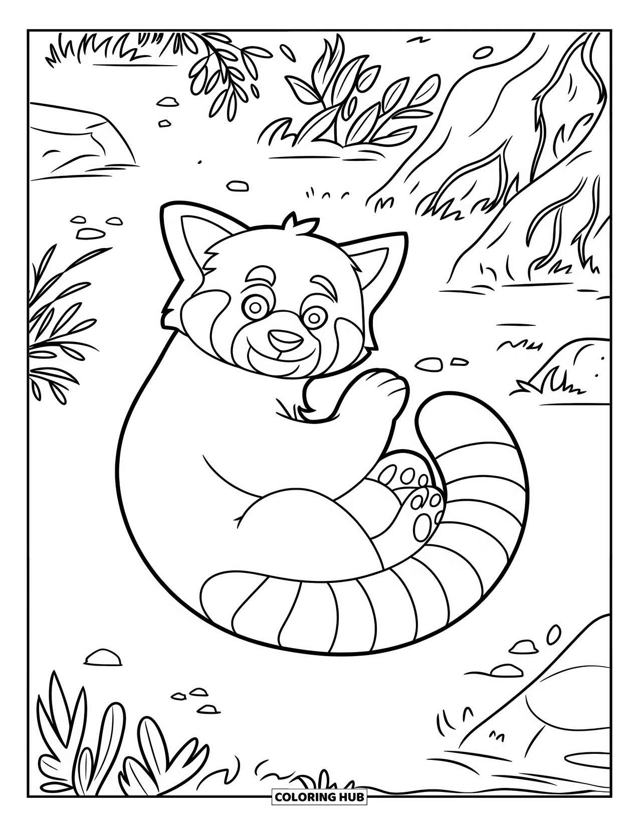 Red Panda Coloring Page for Kids: A playful red panda curls up on a forest floor with rocks