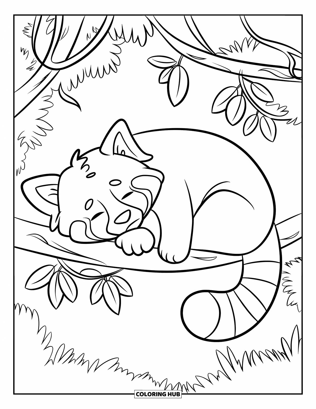 Red Panda Coloring Page for Kids: A red panda curls up sleeping on a leafy tree branch