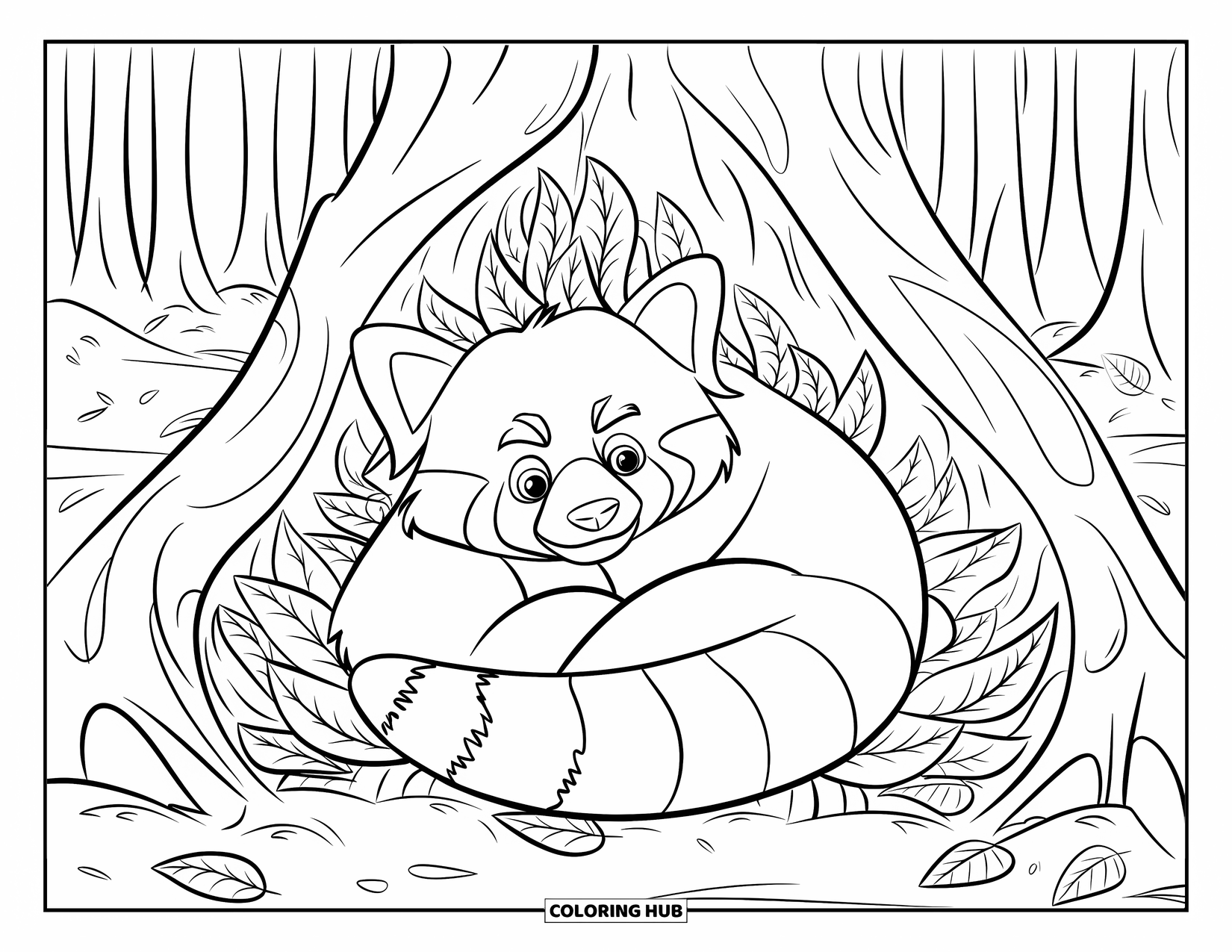 Red Panda Coloring Page for Kids: A red panda peeks out from fallen leaves in a quiet forest path