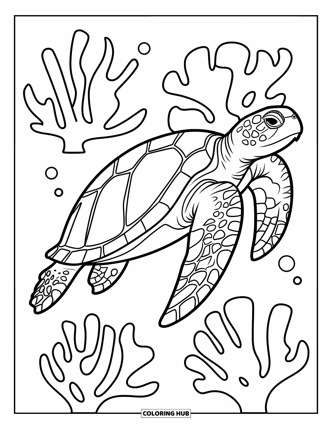 Sea Coloring Page for Kids: Sea turtle with round shell swimming among corals