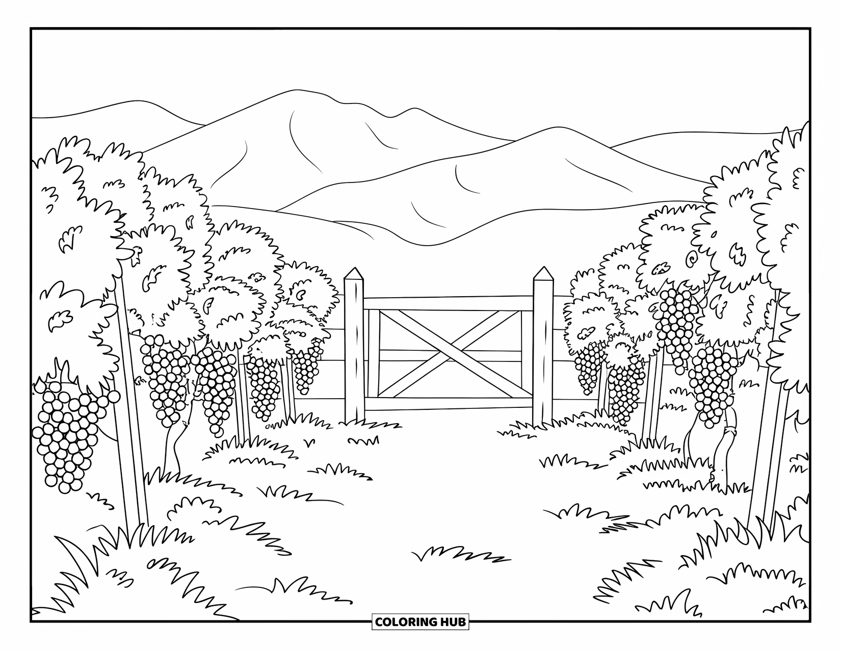 Spain Coloring Page for Kids: A vineyard trail leads to a rustic gate surrounded by quiet grapevines and hills
