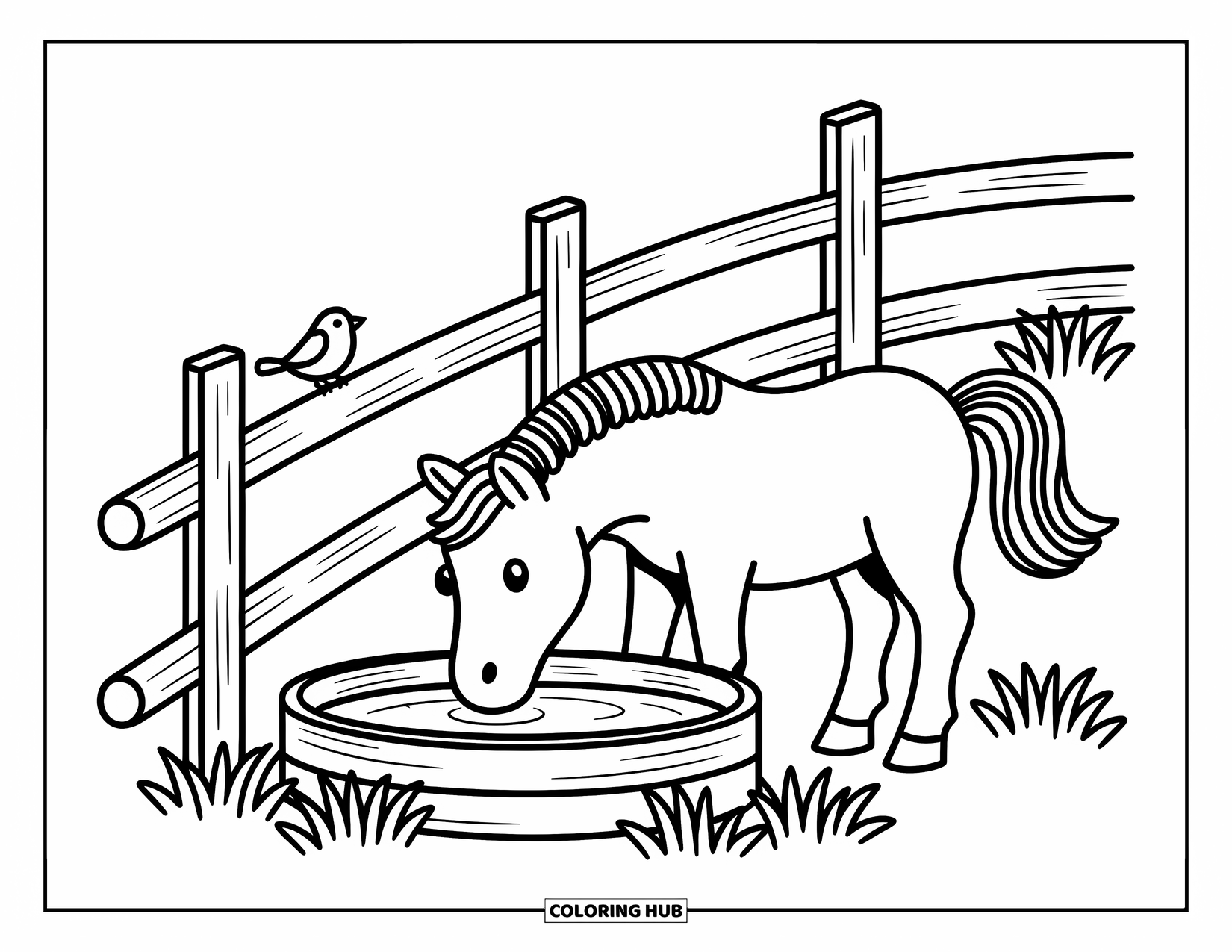 Western Horse Coloring Page for Adults: Horse drinking from a trough while a bird perches on the fence