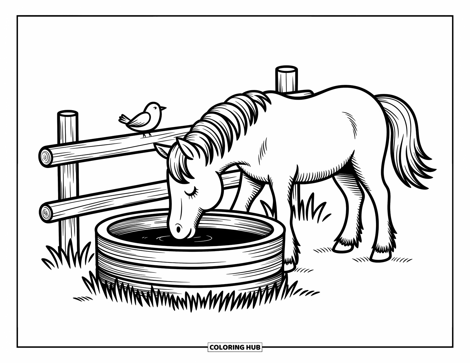Western Horse Coloring Page for Adults: Horse drinking peacefully from a trough with prairie grass around