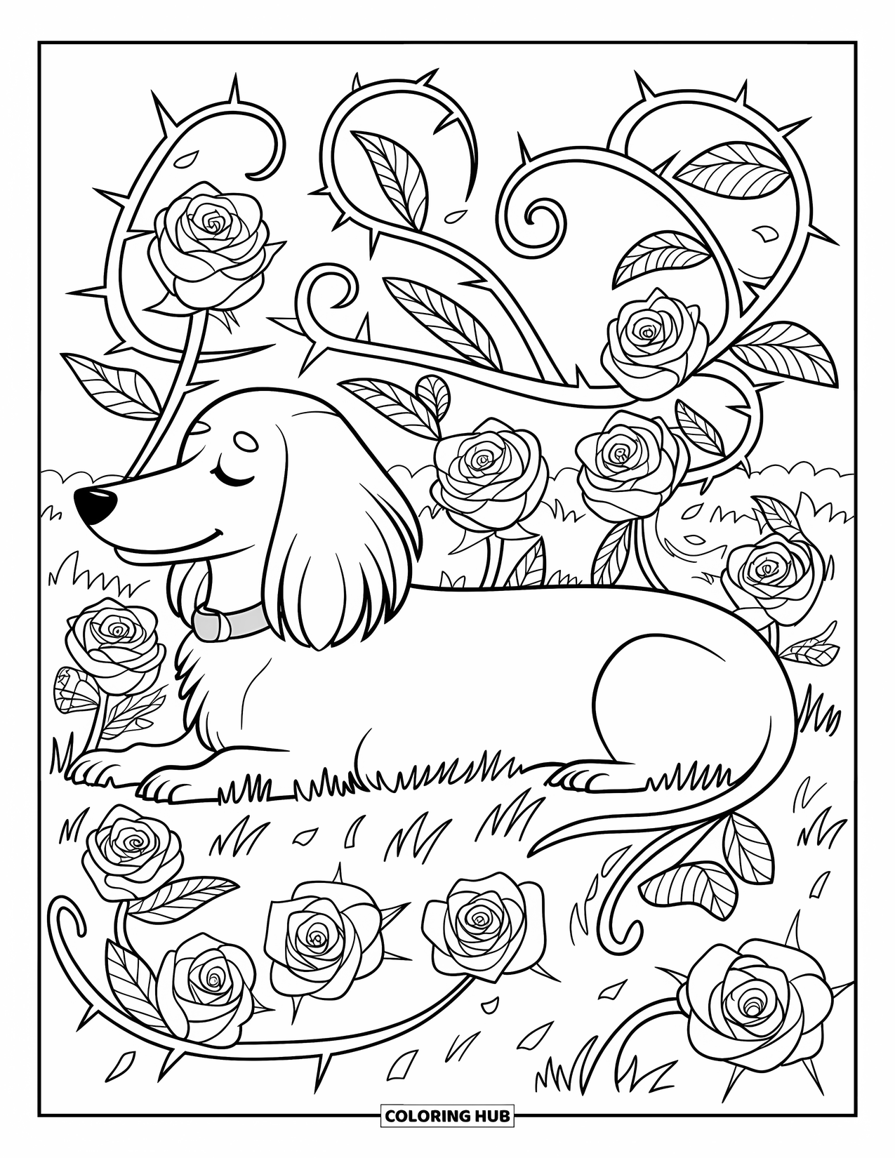 Wiener Dog Coloring Page for Adults: Long-haired wiener dog lying with roses and twisting vines in full bloom