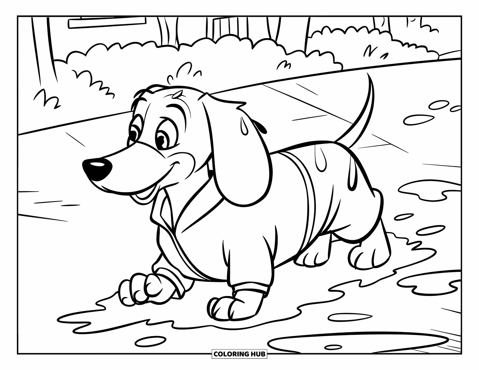 Wiener Dog Coloring Page for Kids: Drenched wiener dog in a raincoat walking through puddles