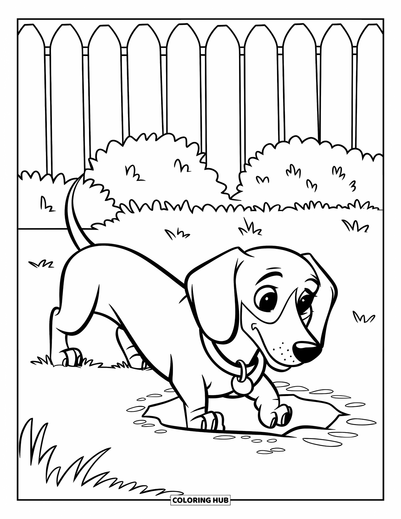Wiener Dog Coloring Page for Kids: Playful wiener dog digging a hole near the backyard fence