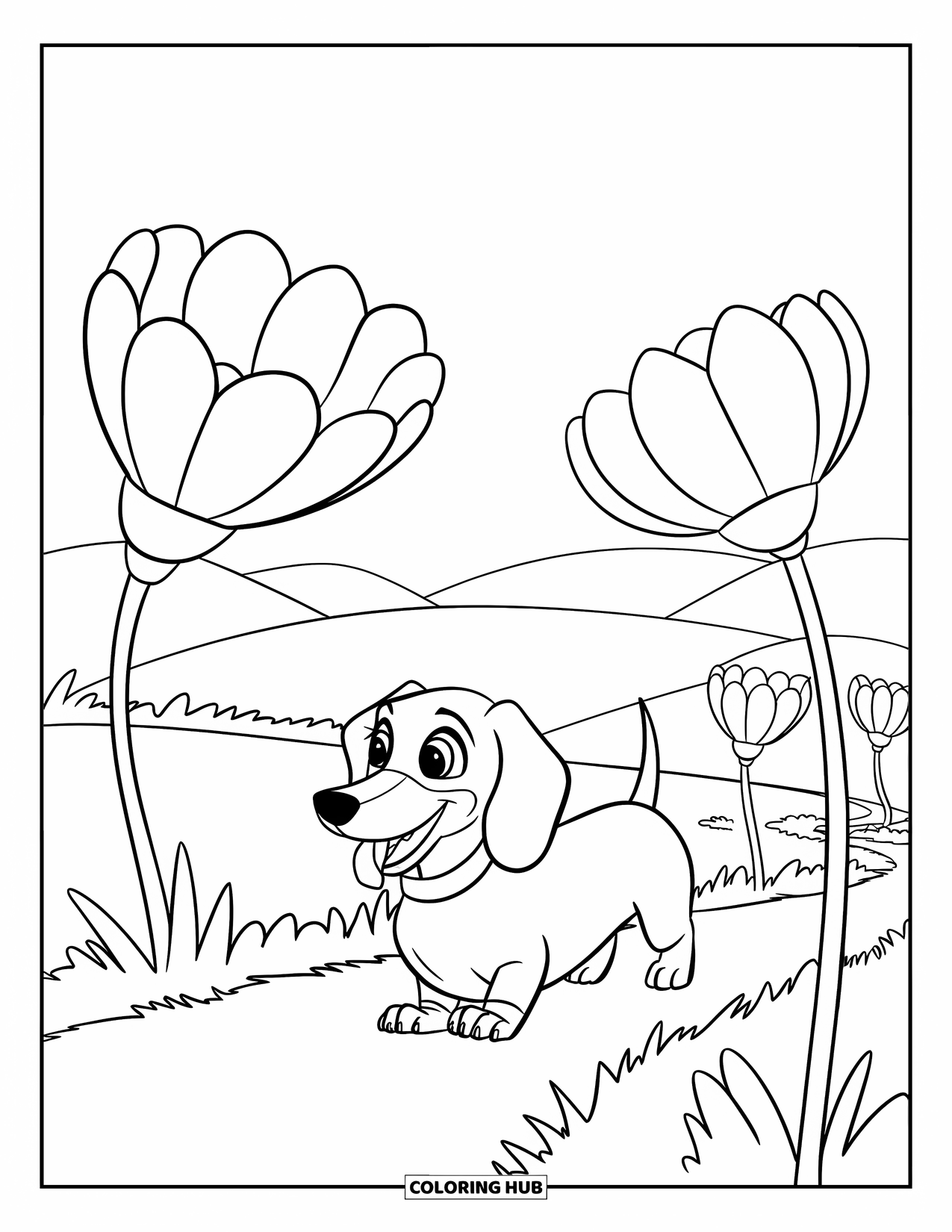 Wiener Dog Coloring Page for Kids: Playful wiener dog walking on a path surrounded by flowers