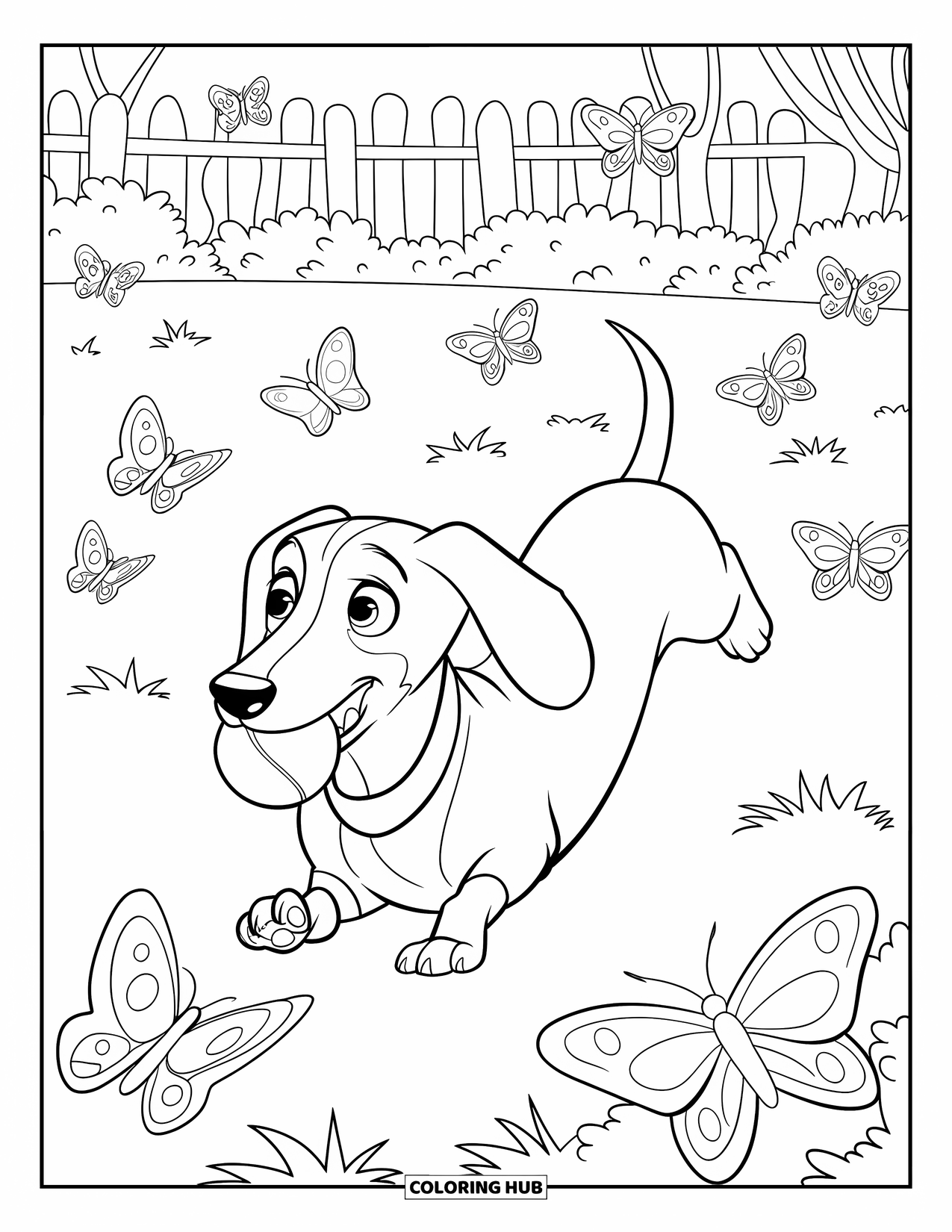 Wiener Dog Coloring Page for Kids: Wiener dog running across a garden with butterflies around