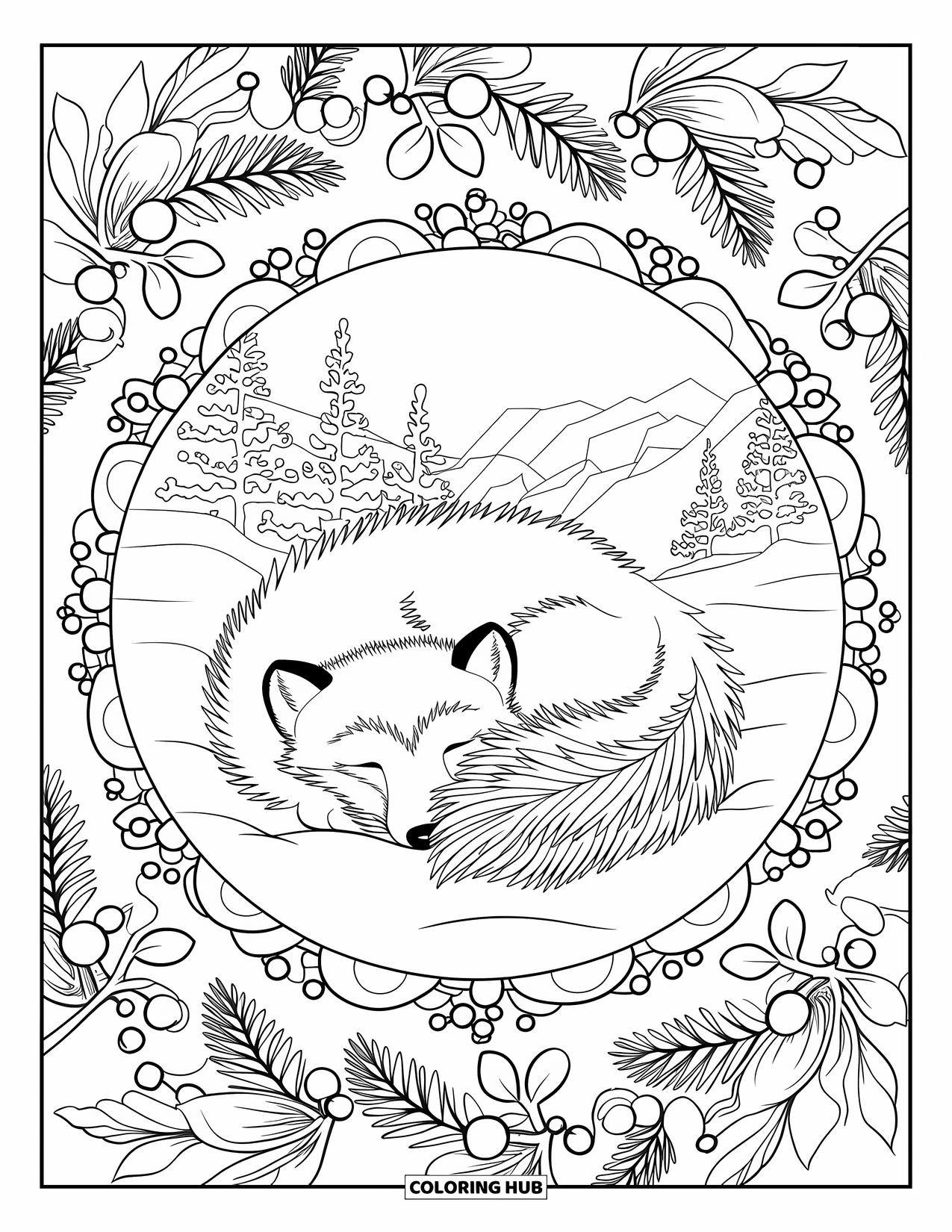 Winter Animal Coloring Page for Adults: Curled-up arctic fox rests in a snowy mandala with berries and pine sprigs