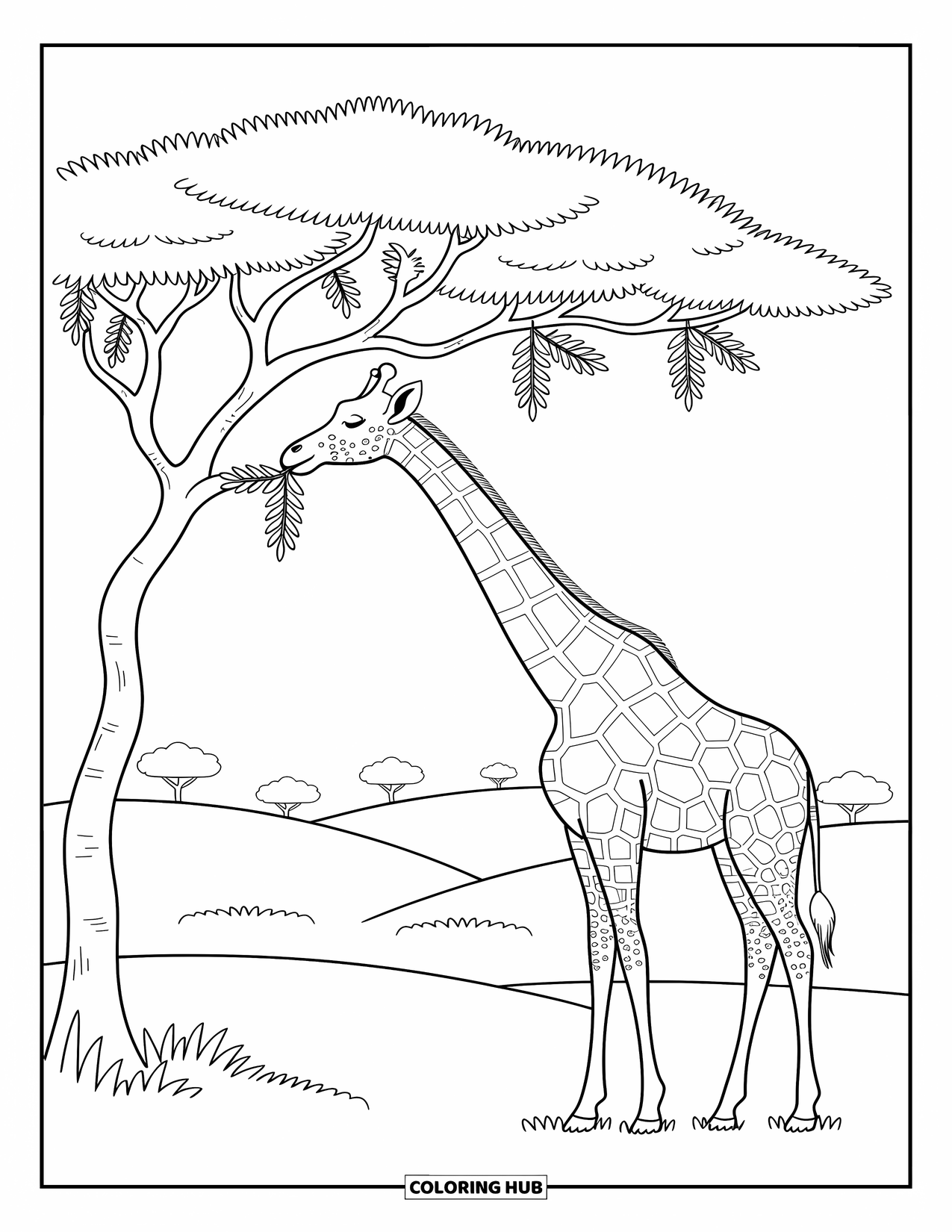 African Animals Coloring Page for Adults: A calm giraffe stretches to eat leaves from a tree under a sunny sky