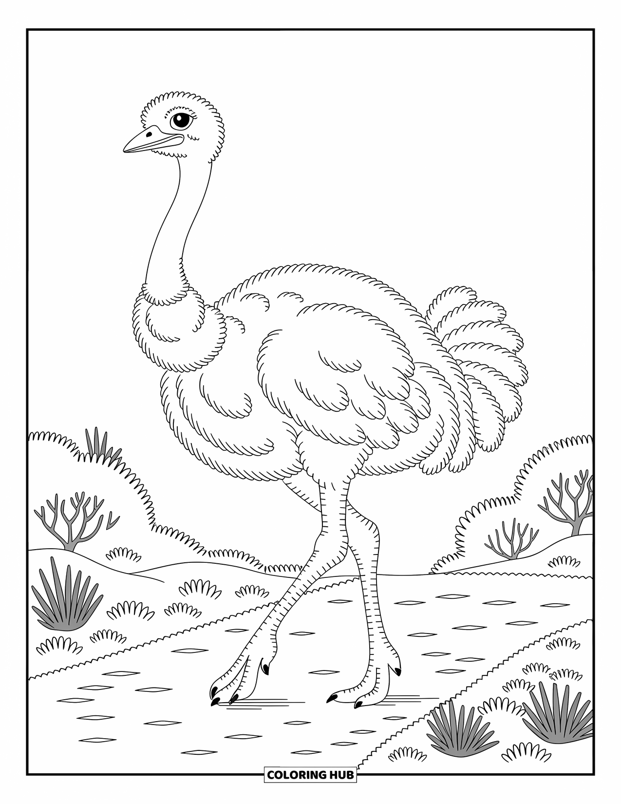 African Animals Coloring Page for Adults: A tall ostrich with fluffy feathers strolls a sunlit path through the savannah