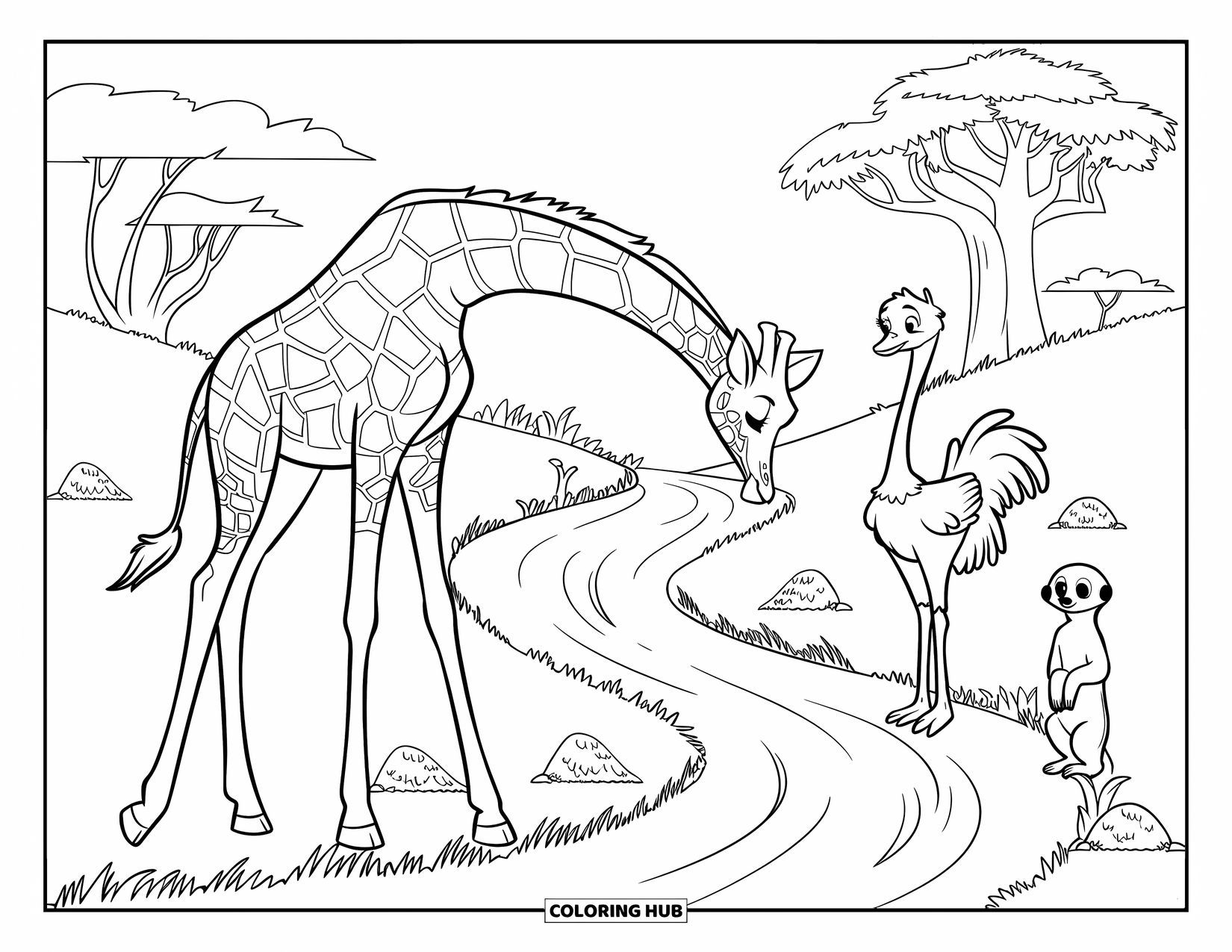 African Animals Coloring Page for Kids: A giraffe, ostrich, and meerkat share a moment on a winding trail through brush