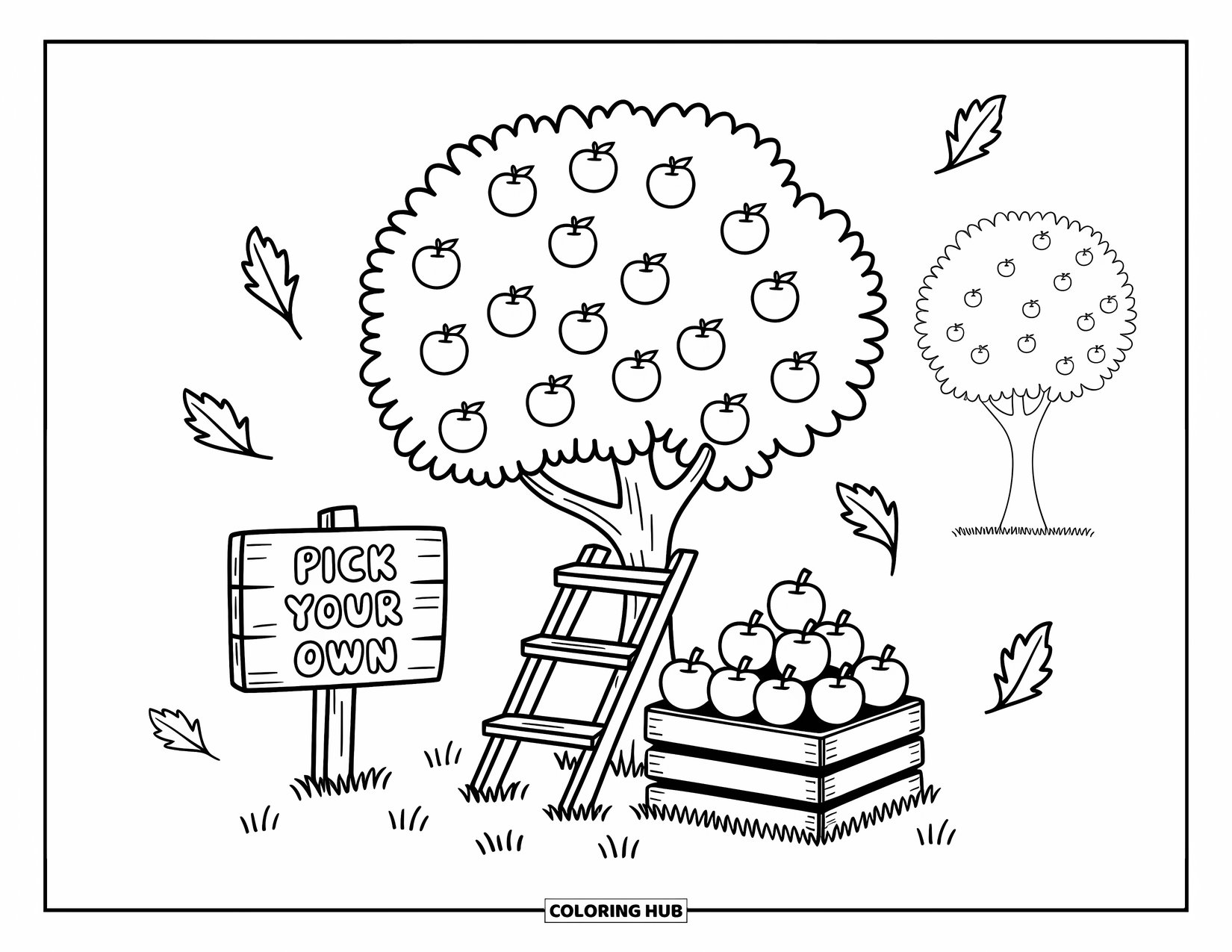 Apple Tree Coloring Page for Adults: An apple tree stands beside a ladder and crate, with a sign welcoming pickers