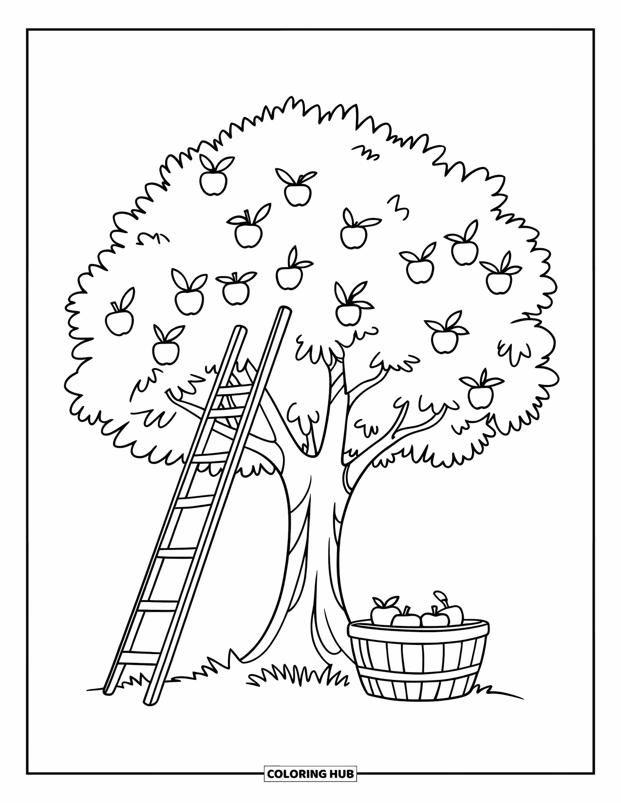 Apple Tree Coloring Page for Kids: A ladder leans on an apple tree with a full basket waiting below