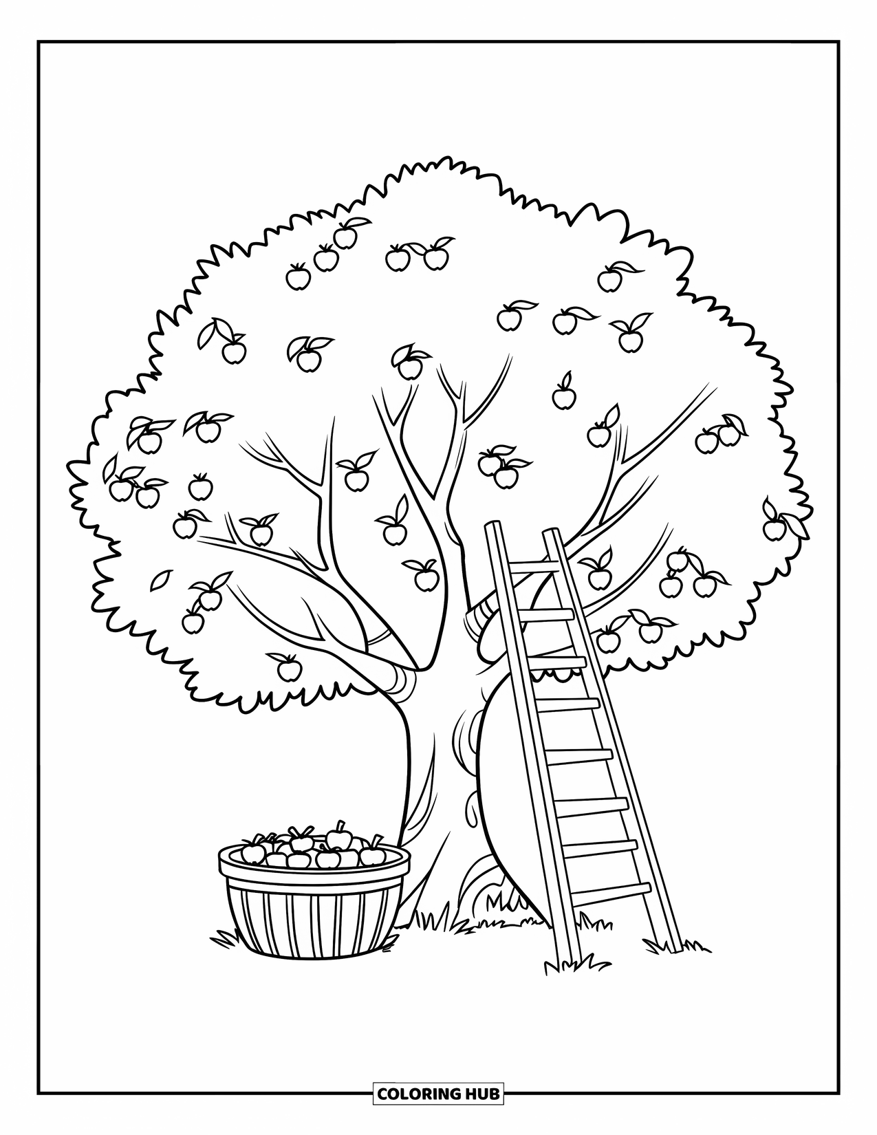 Apple Tree Coloring Page for Kids: A ladder rests against an apple tree with a basket below on white ground