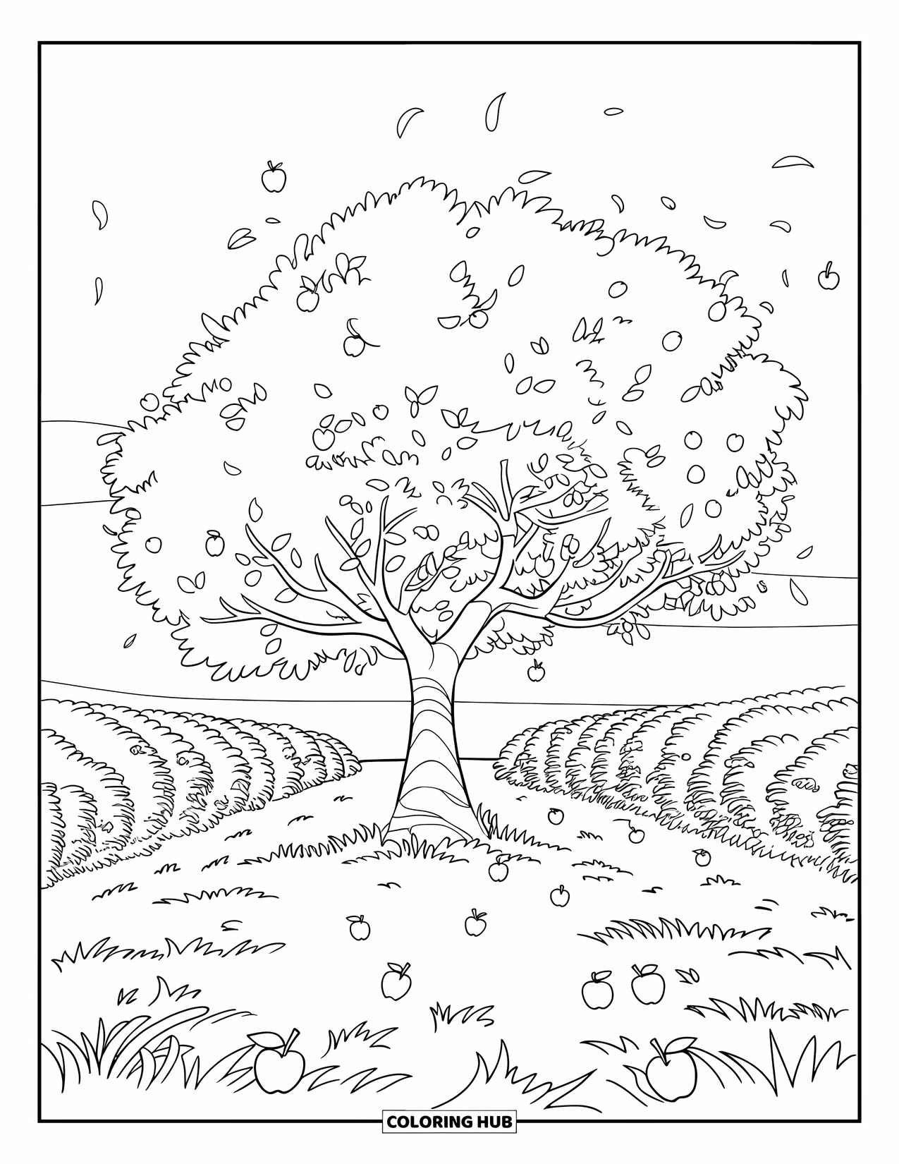 Apple Tree Coloring Page for Kids: Leaves and apples fly from a tree standing tall in an open field