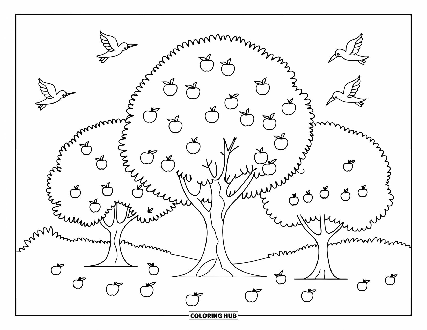 Apple Tree Coloring Page for Kids: Three apple trees stand together as birds fly above in a clear sky