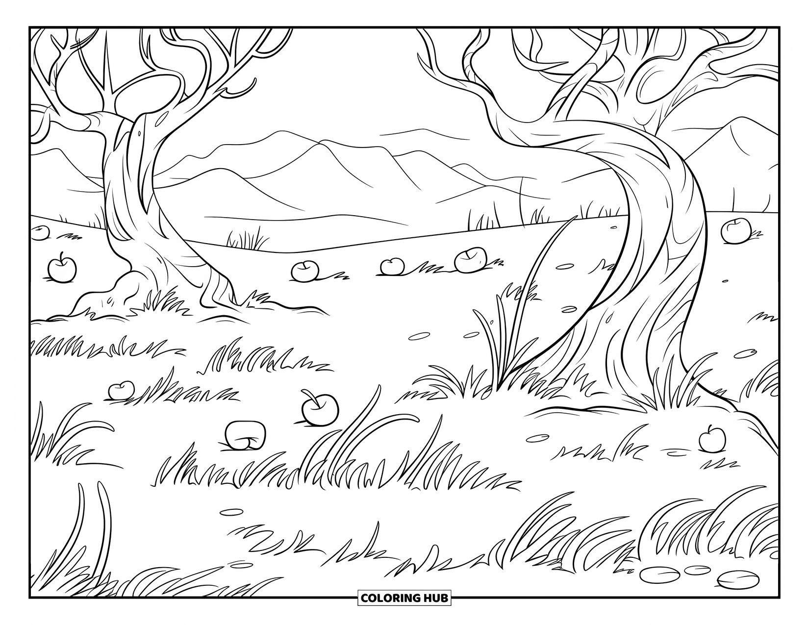 Apple Tree Coloring Page for Kids: Three old apple trees in a calm orchard surrounded by fallen apples and grass