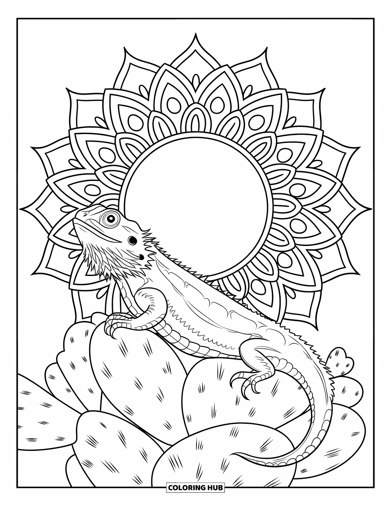 Bearded Dragon Coloring Page for Adults: A bearded dragon basks on a cactus flower beneath a patterned mandala sun