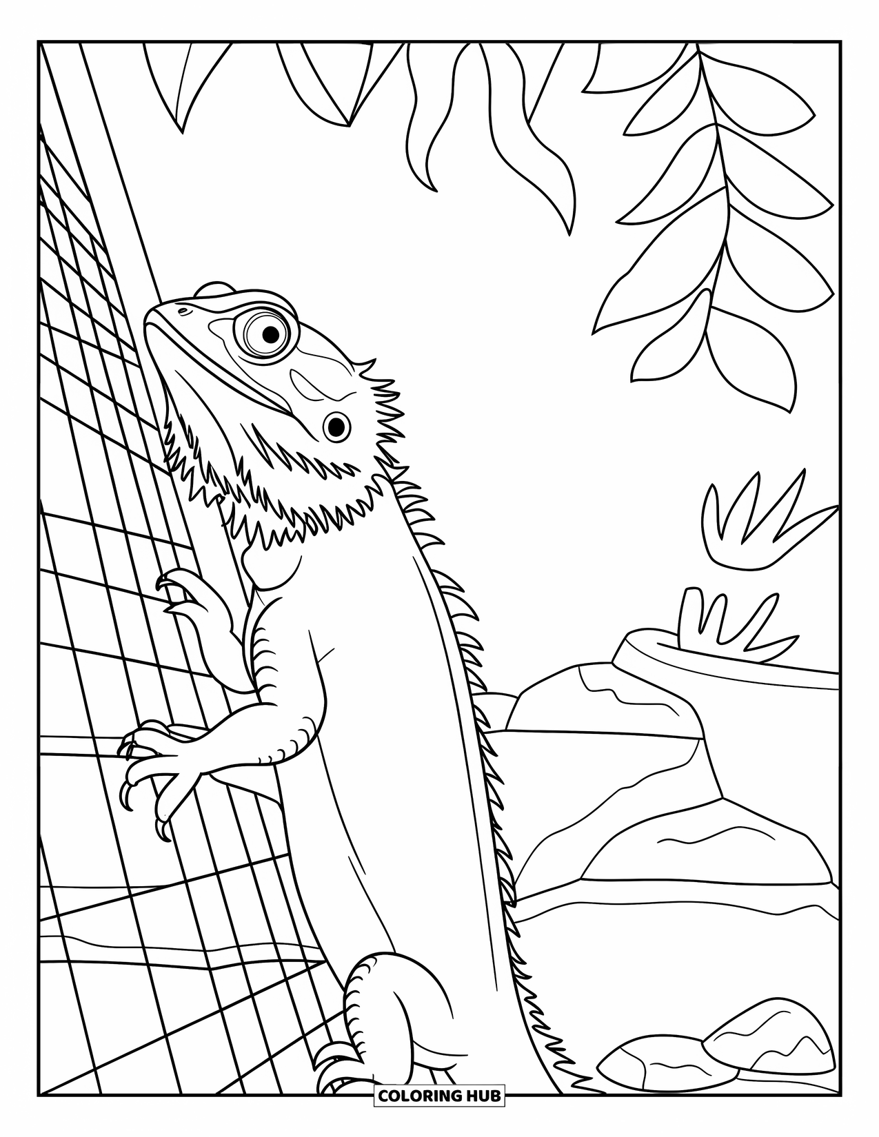Bearded Dragon Coloring Page for Kids: A bearded dragon climbs wire mesh inside a plant-filled terrarium