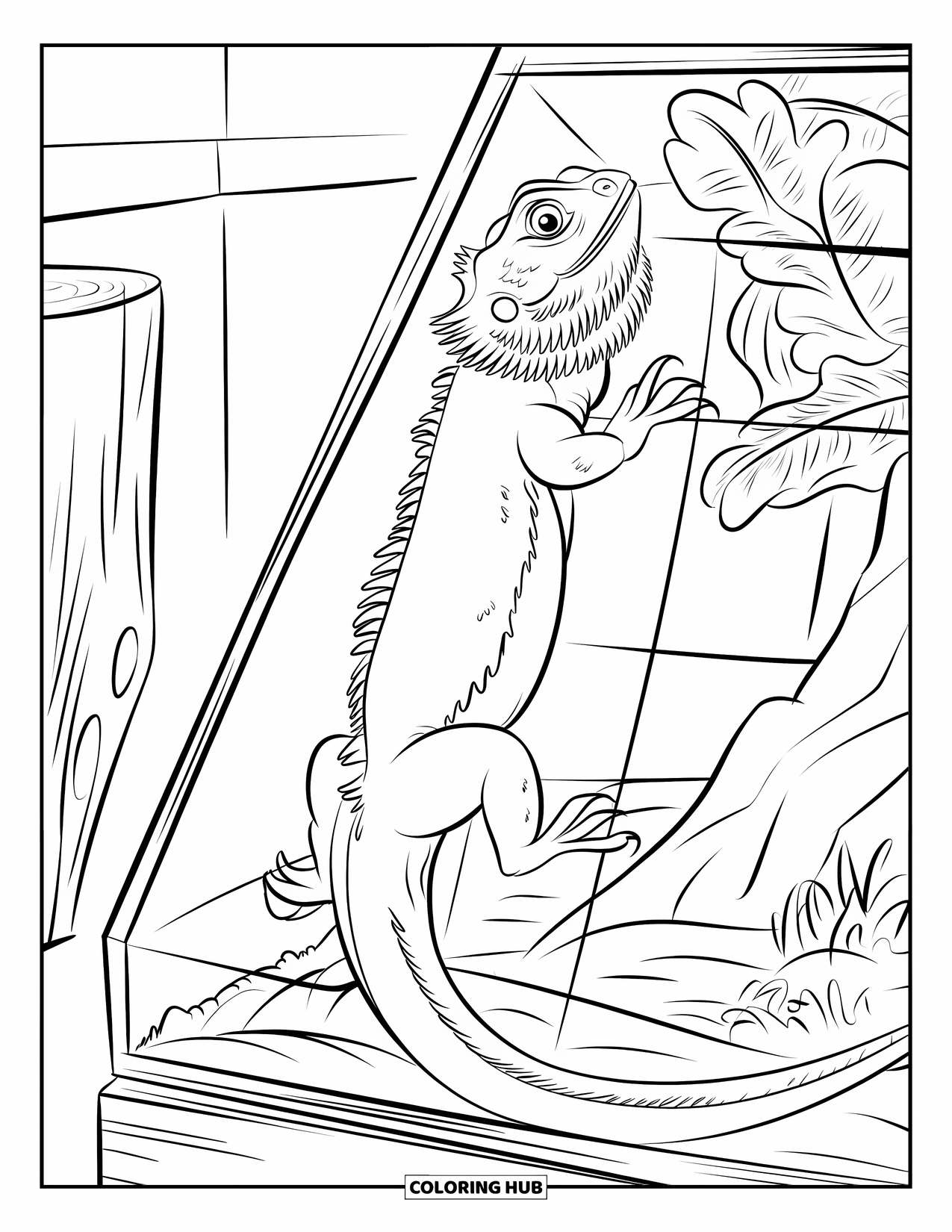 Bearded Dragon Coloring Page for Kids: A dragon climbs wire mesh in a terrarium with rocks and a window view