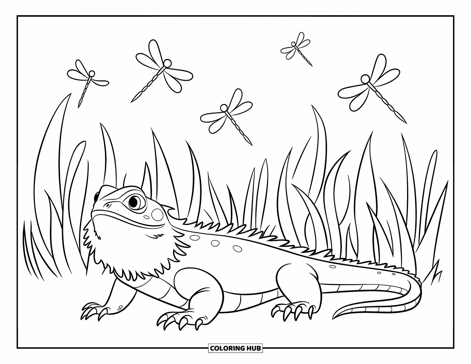 Bearded Dragon Coloring Page for Kids: A dragon relaxes in tall grass while dragonflies zip through the air