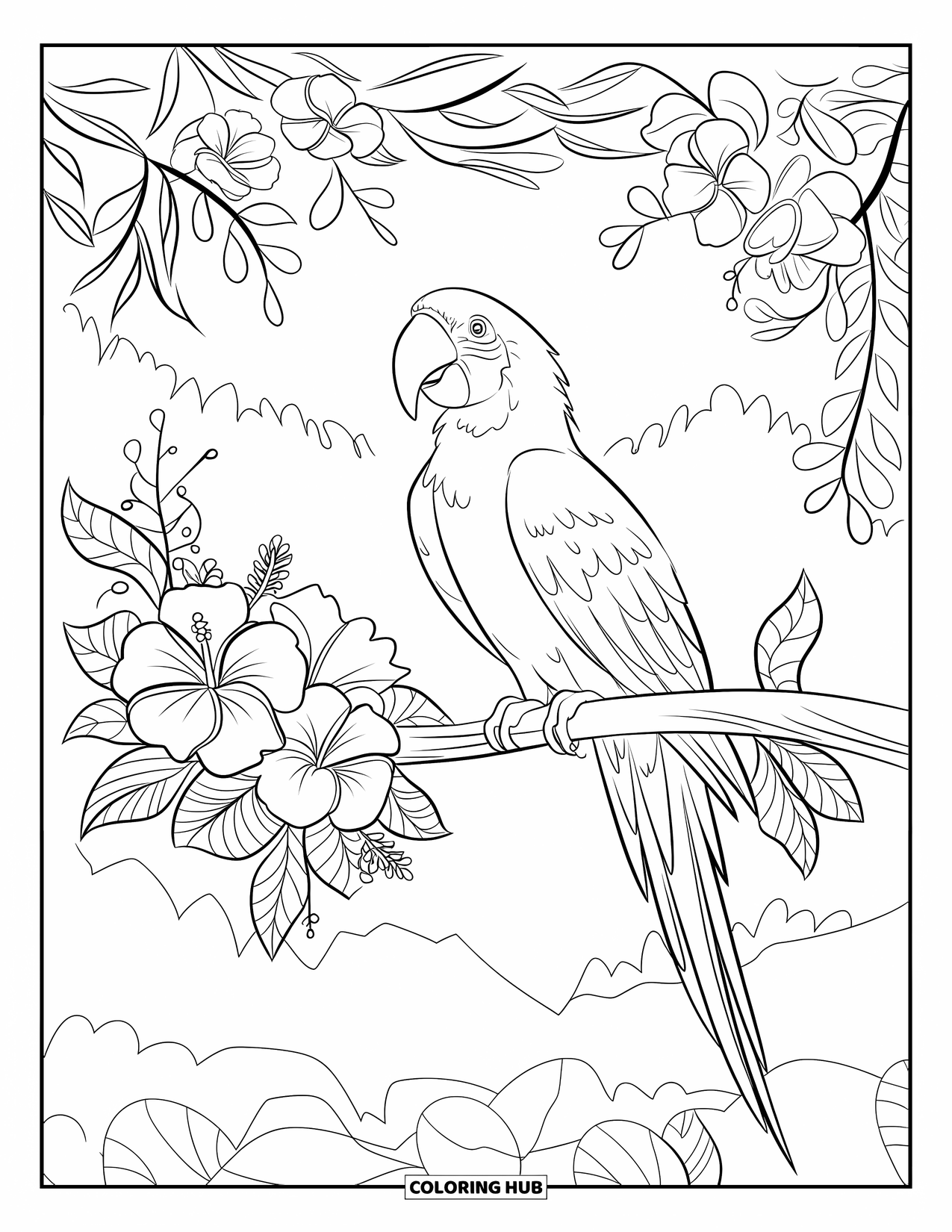 Brazil Coloring Page for Kids: A tropical macaw surrounded by hibiscus and frangipani blossoms