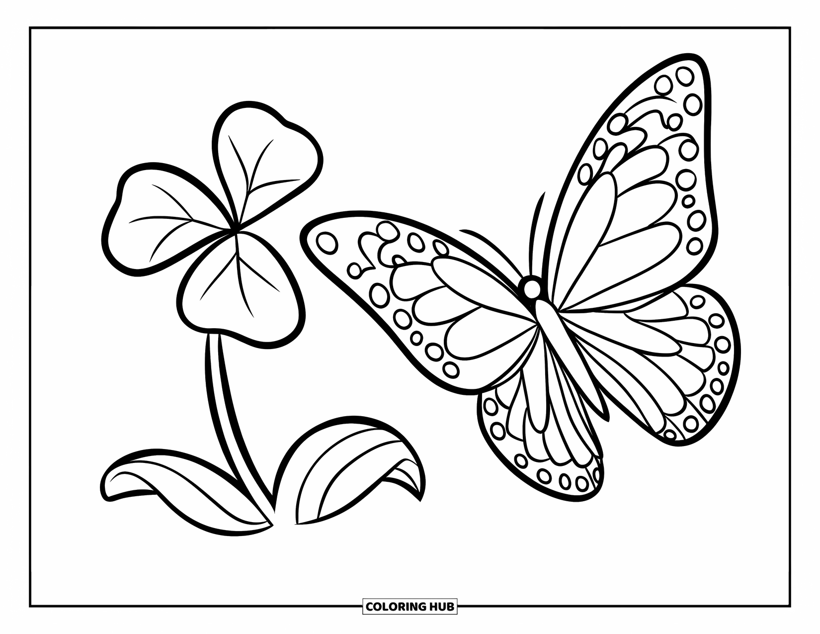 Clover Coloring Page for Kids: A butterfly flutters over a three-leaf clover on a white background