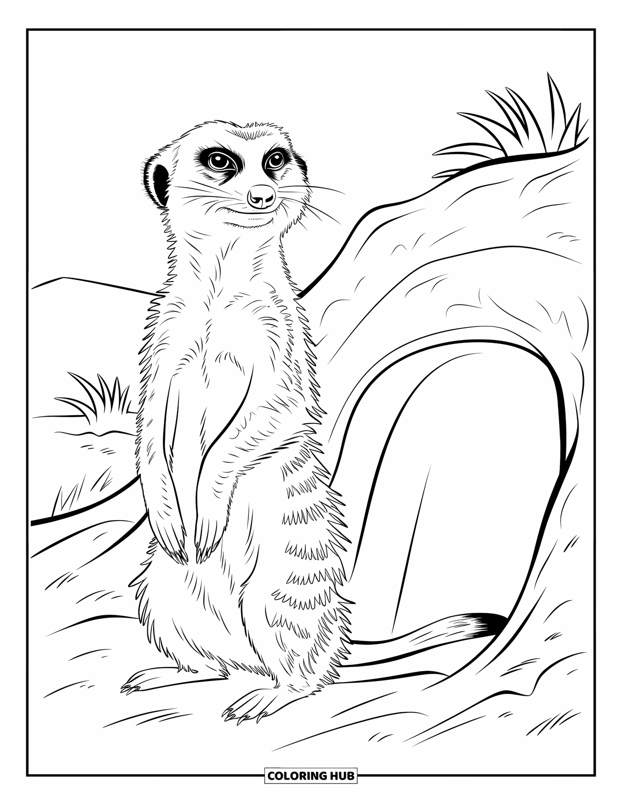 Desert Animals Coloring Page for Kids: Meerkat on lookout near a burrow in the desert