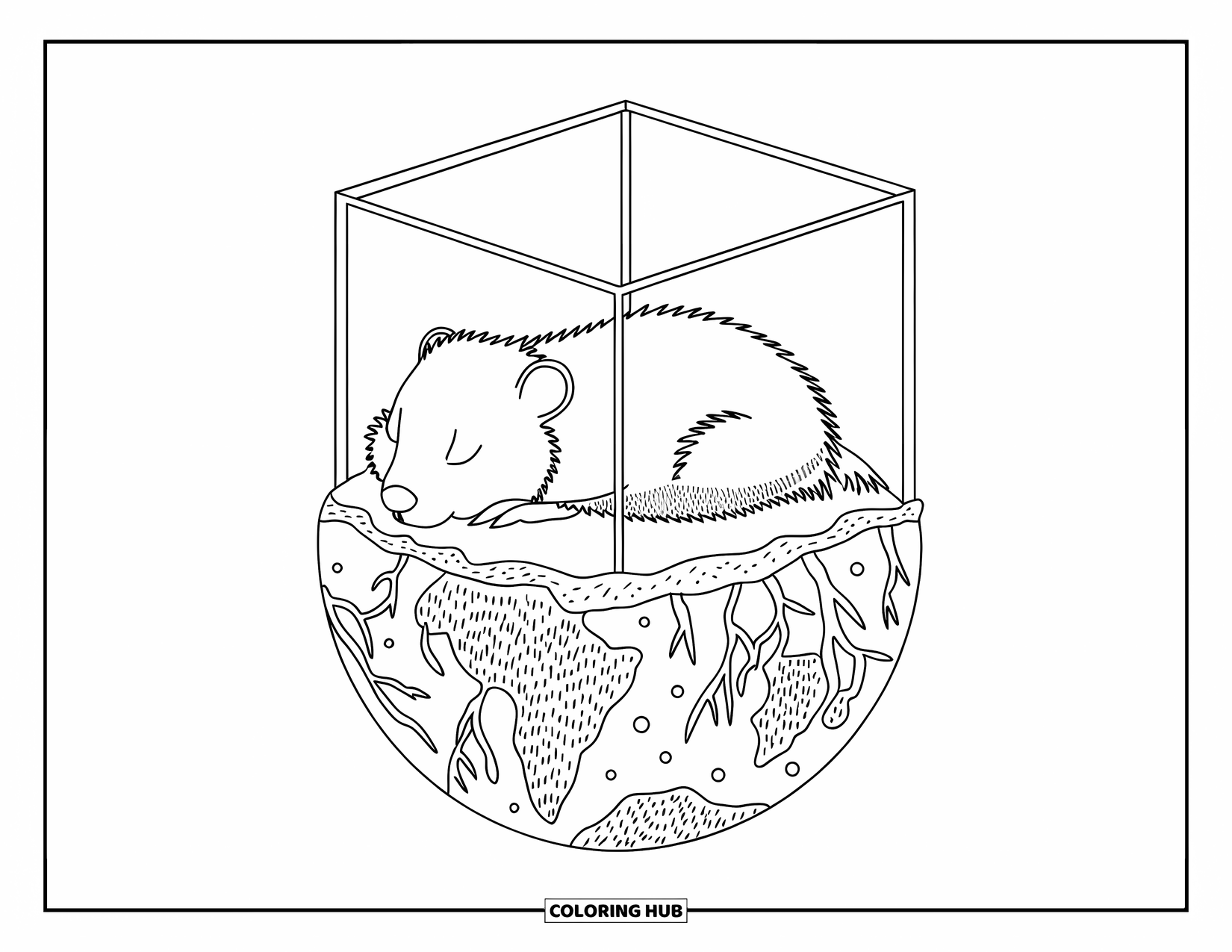 Hibernating Animals Coloring Page for Adults: A hibernating groundhog rests inside a glass cube embedded in textured, earthy layers