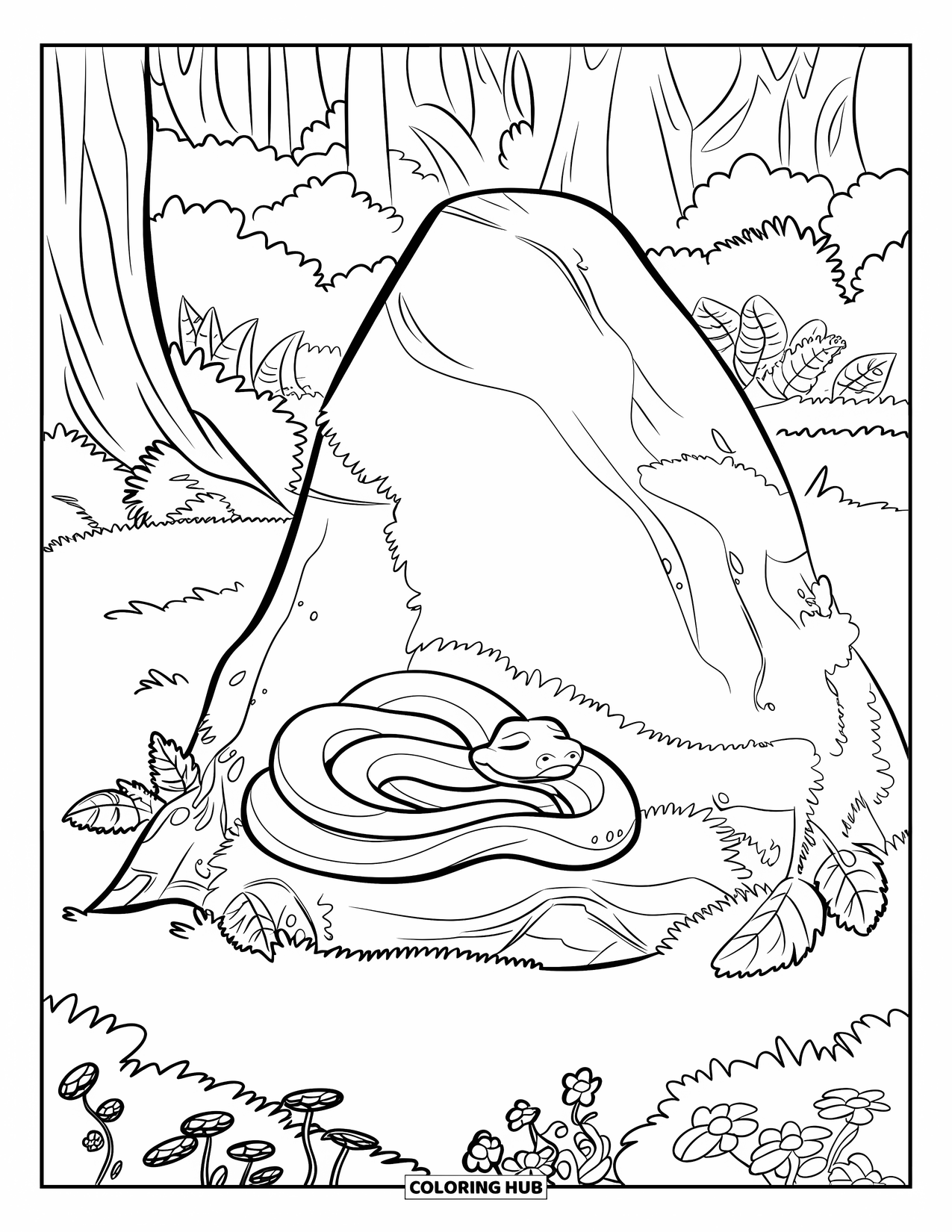 Hibernating Animals Coloring Page for Kids: A hibernating snake wraps around a root near a mossy forest rock