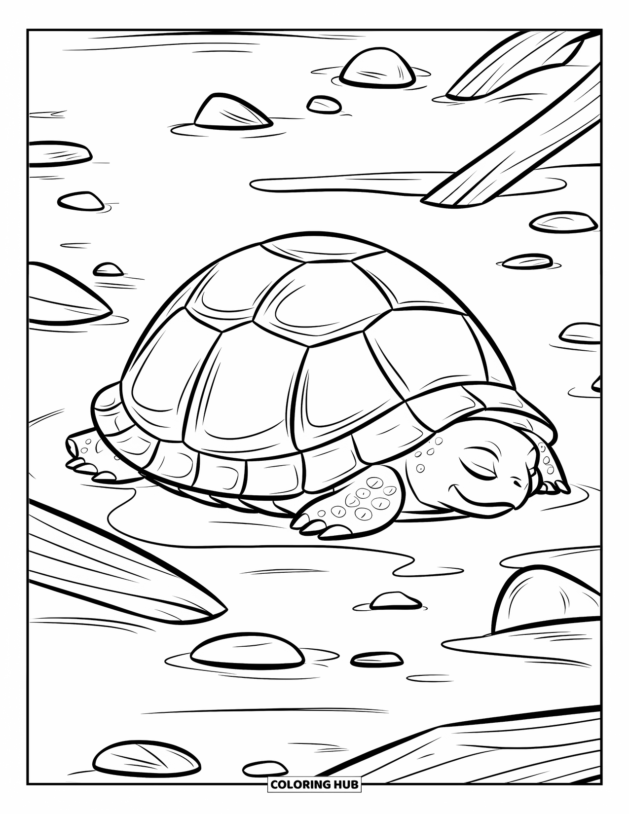 Hibernating Animals Coloring Page for Kids: A turtle hibernates on the pond floor surrounded by tiny pebbles and twigs