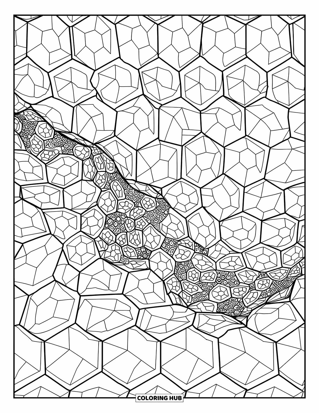 Illusion Coloring Page for Adults: Stars morph across the page in a shifting hexagon pattern