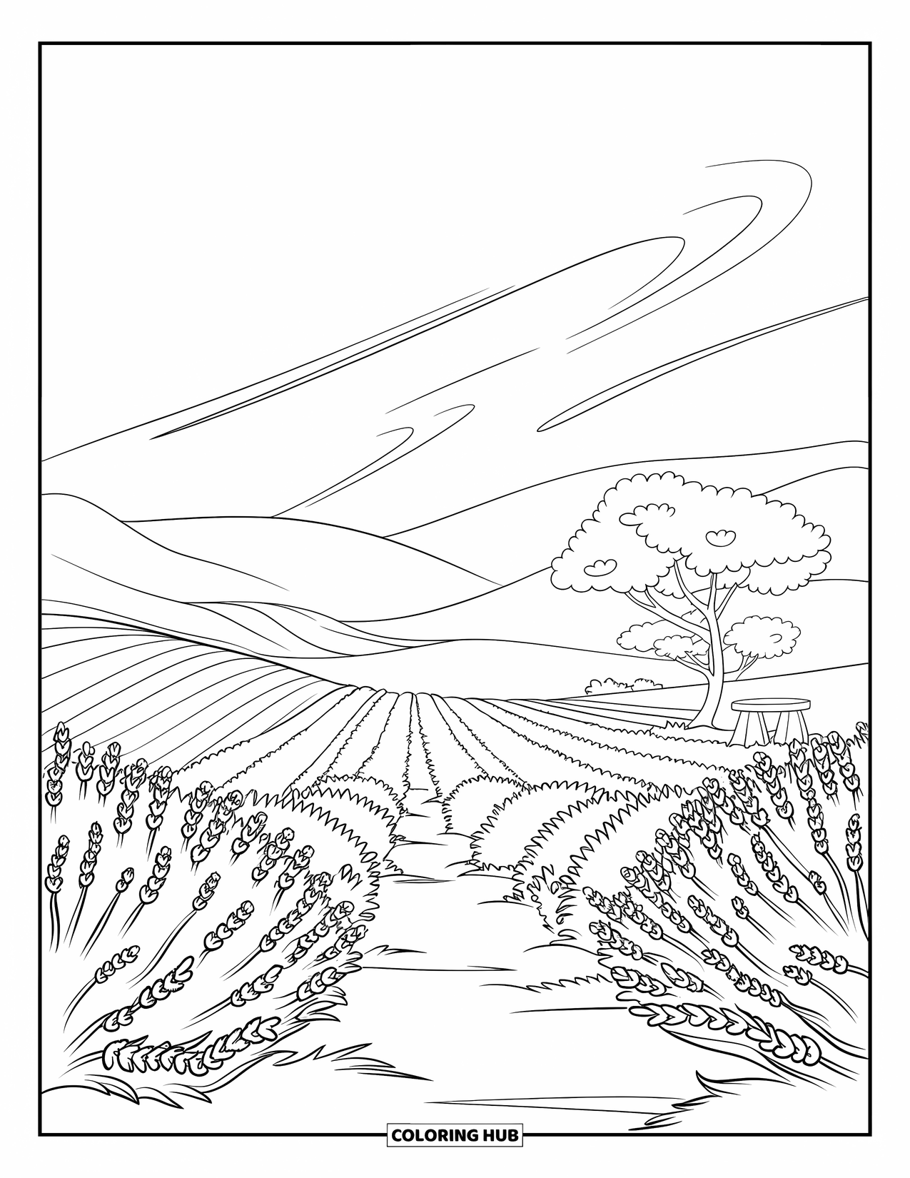 Landscape Scenery Coloring Page for Kids: A lavender field stretches toward hills with a small tree and bench