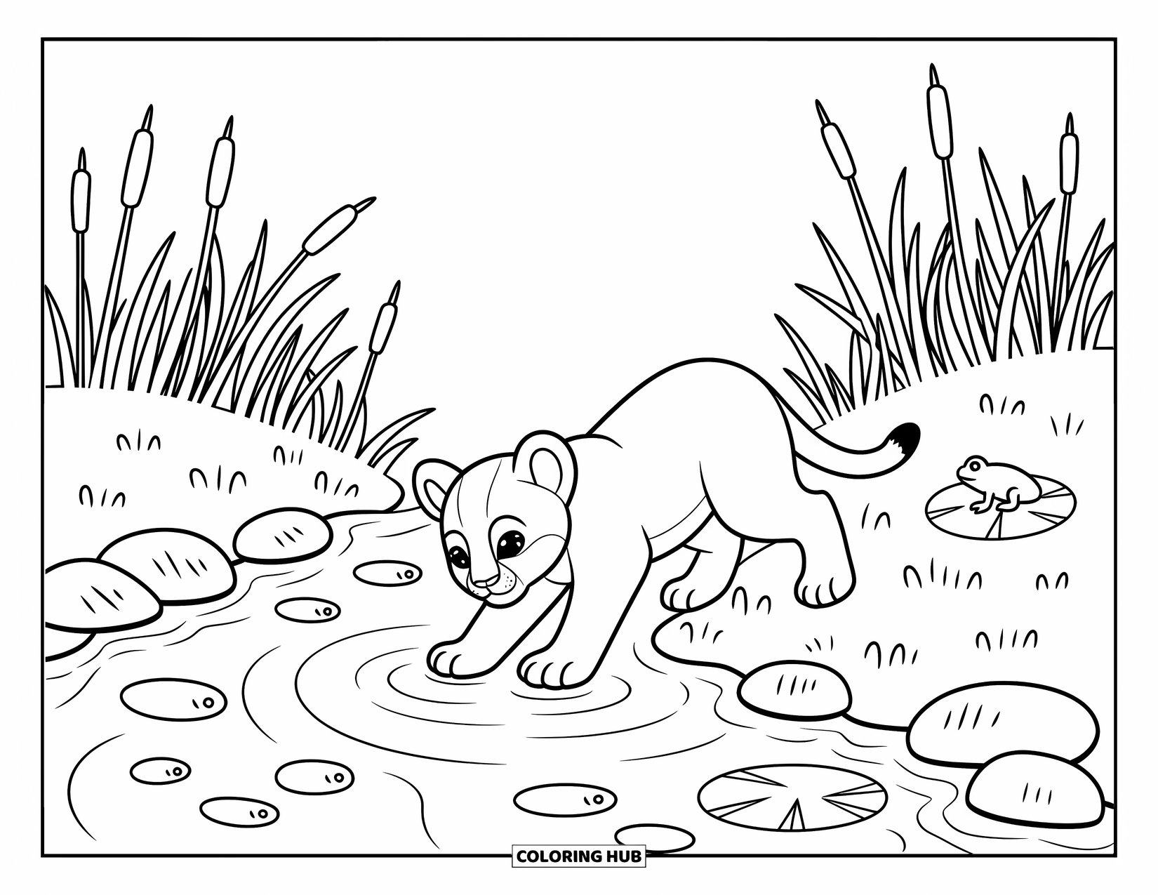 Mountain Lion Coloring Page for Adults: A cub dips its paw into a stream beside a frog and lily pad