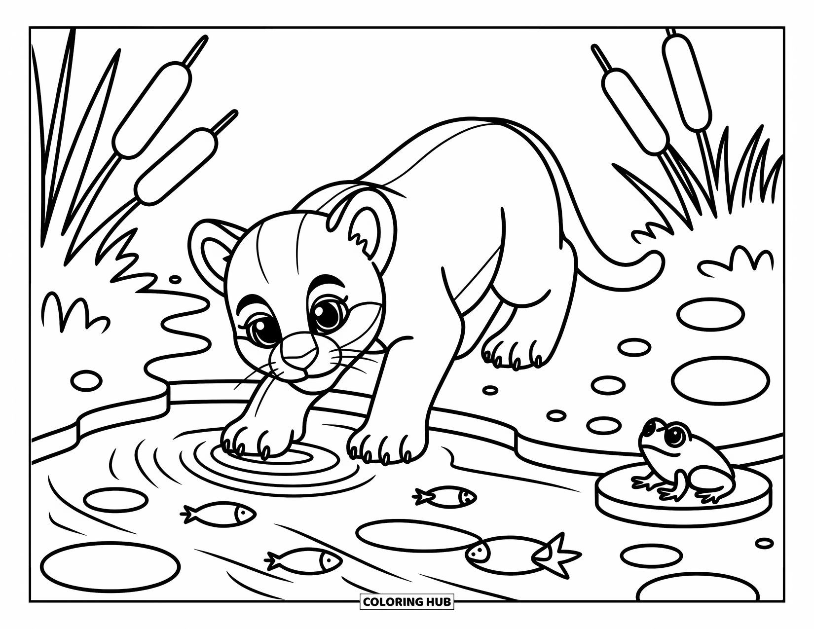 Mountain Lion Coloring Page for Adults: A curious cub steps into a stream near a frog and fluttering grasses