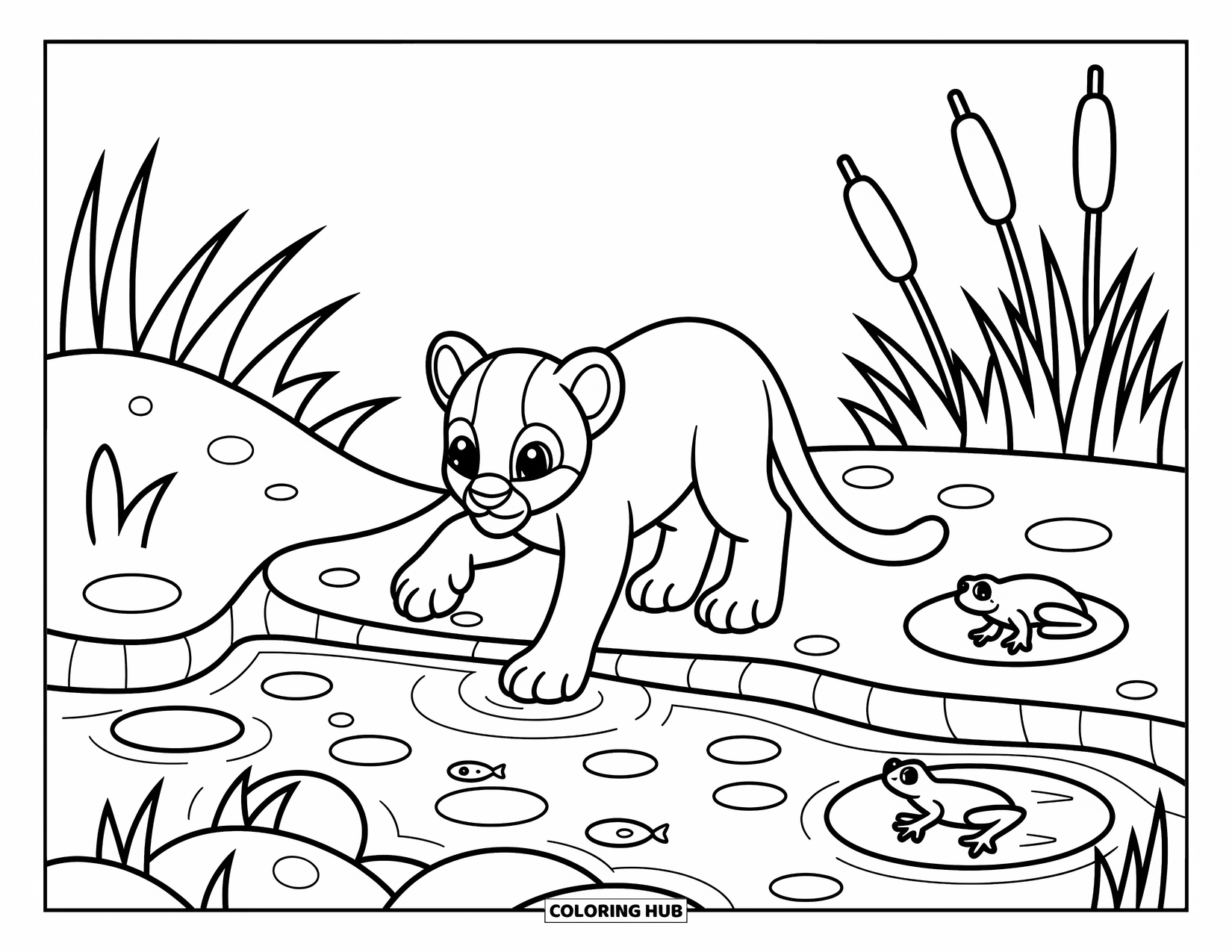 Mountain Lion Coloring Page for Adults: A playful cub splashes in a shallow stream with cattails and fish nearby